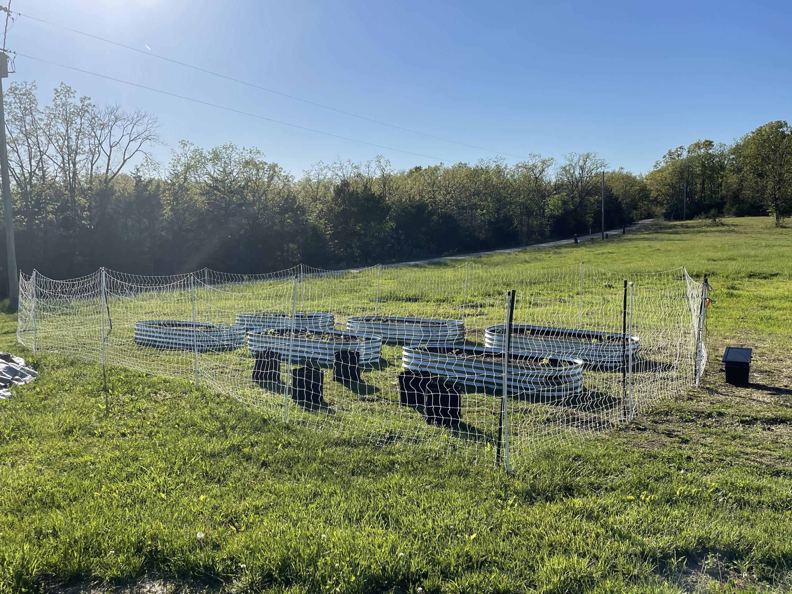 Premier 1 PoultryNet Plus Starter Kit for Chickens - 48H x 100L | White/black. Includes solar energizer, support posts & tester. Double spike, posts every 6.8 ft to reduce sag. For chickens. customer photo 2