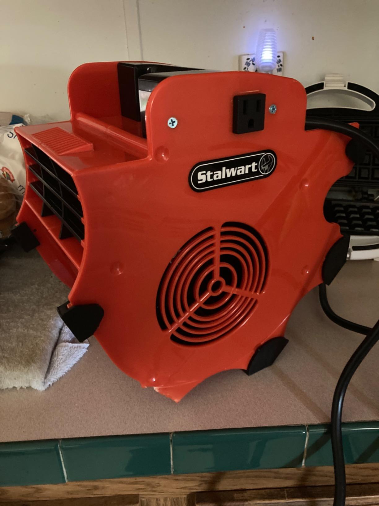 Blower Fan - 3-Speed Heavy-Duty Floor and Carpet Dryer - 1600 watts - Portable Air Mover with 4 Different Angles for Basements, Cars or Garages by Stalwart (Red) customer photo 1
