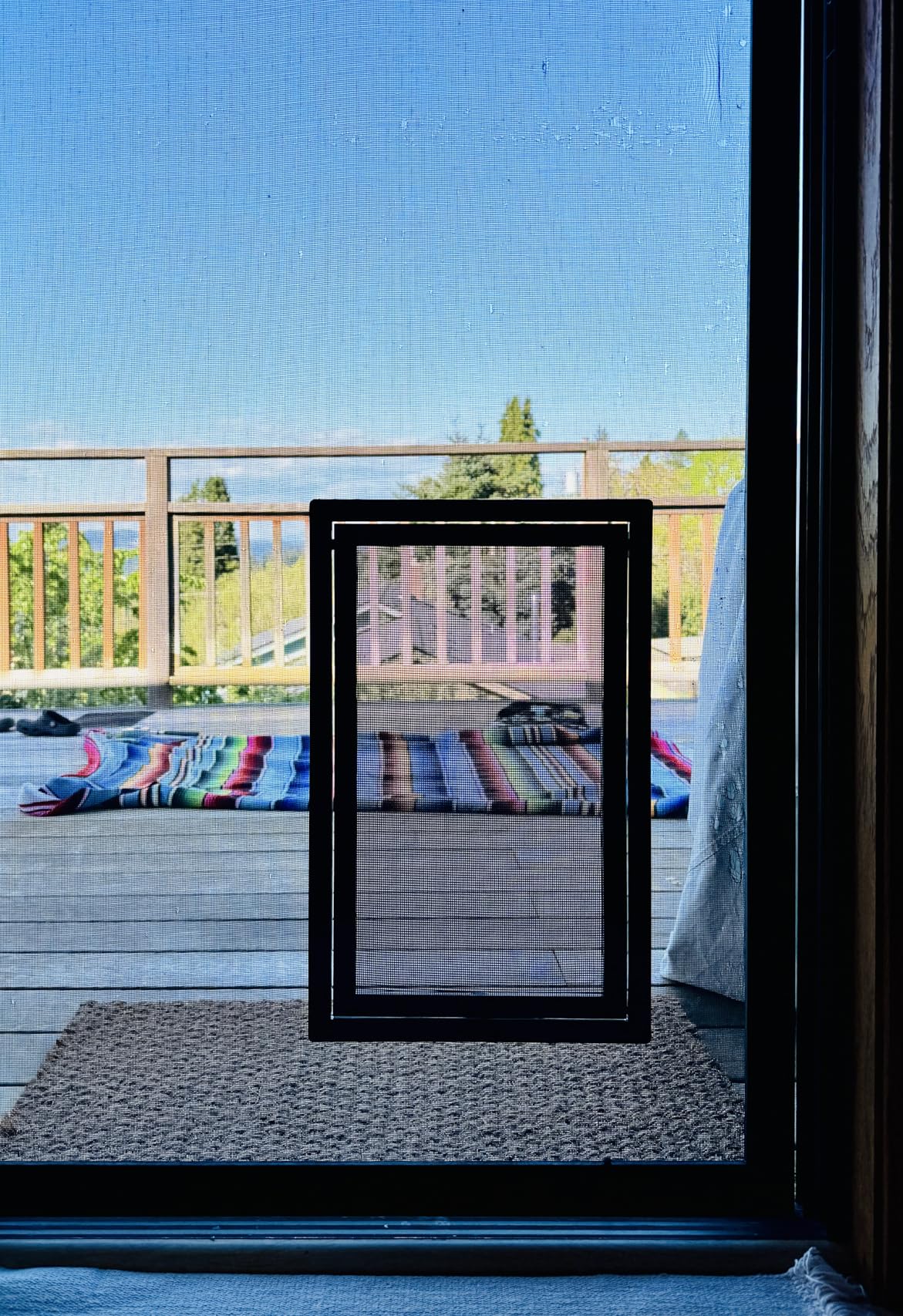 PetSafe Screen Door for Dogs & Cats, Up to 100 lb, Large | For Screen Doors or Porch Screens, Puncture-Resistant Mesh, Sliding Wind-Lock, Quick DIY Snap-in Install customer photo 1