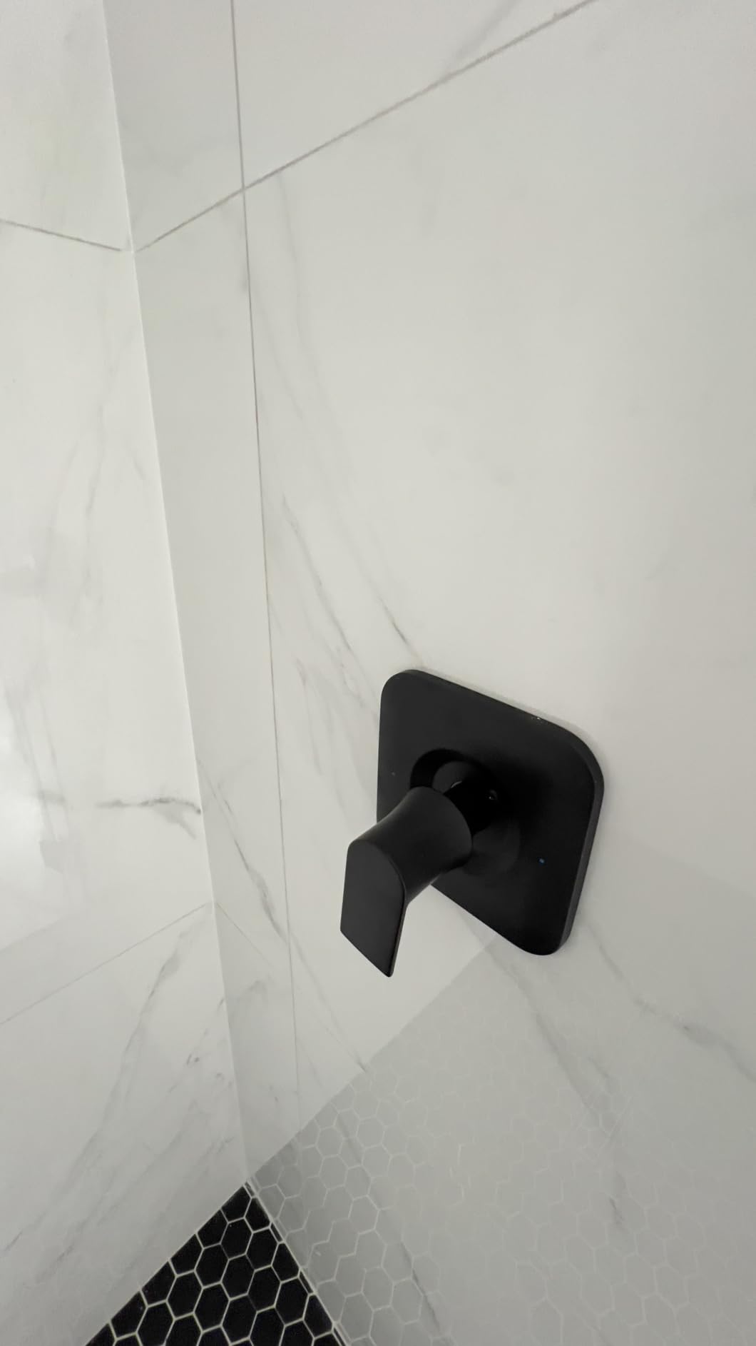 Moen Genta LX Brushed Nickel 1-Handle Posi-Temp Pressure Balancing Modern Valve Trim Kit, Valve Required, T2471BN customer photo 1