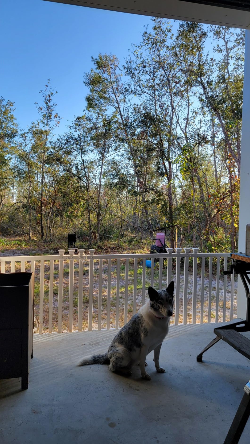 Zippity Baskenridge Picket Gate, White Vinyl DIY No Dig Kit | 3ftH x 4.2ftW, 1 Gate, ZP19038 customer photo 2