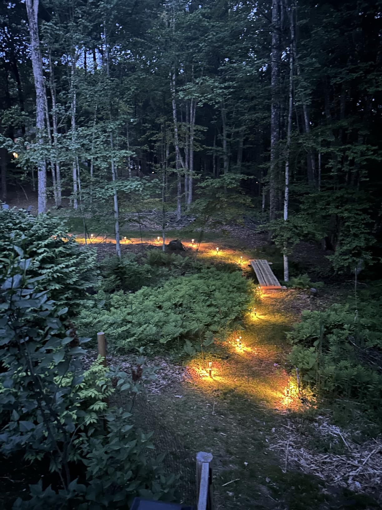 LEONLITE 6-Pack 3W LED Low Voltage Path Lights Aluminum 3000K Black | Landscape Pathway Lights, Outdoor Landscape Lighting for Driveway, Garden, 12-24V AC/DC, ETL, IP65 Waterproof, Warm White customer photo 2