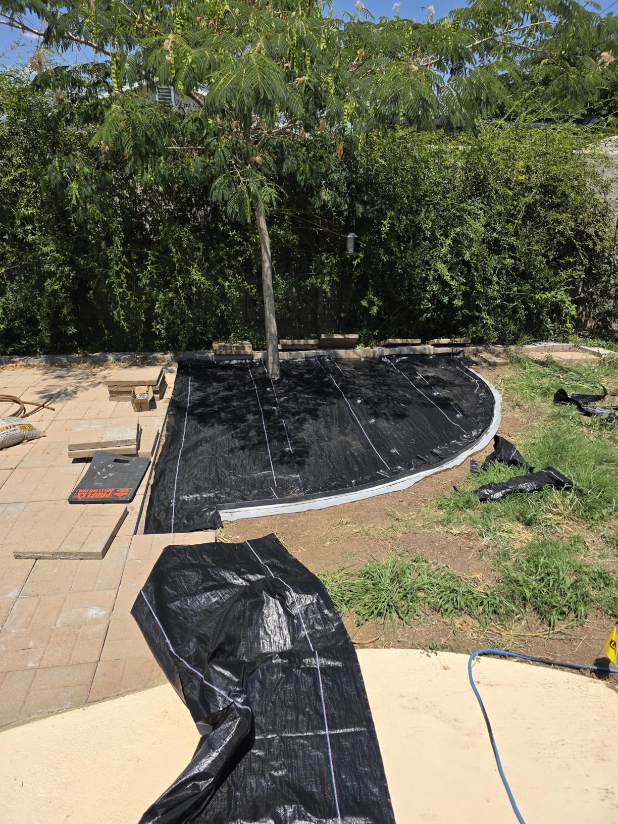 Sandbaggy Landscape Fabric | 50 Year Fabric | Weed Mat, Ground Cover, Garden Tarp | Trusted by Farmers & Contractors Across America (3 ft x 100 ft Roll) customer photo 1