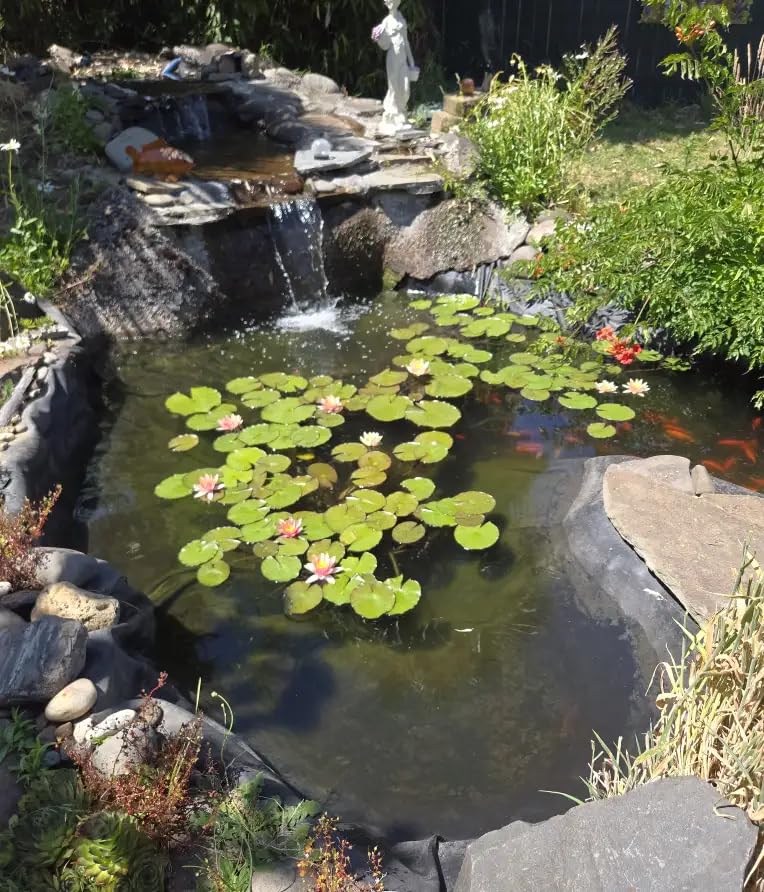 Jebao STU-36 Stainless Steel Pond and Aquarium Clarifier, 36-watt customer photo 2