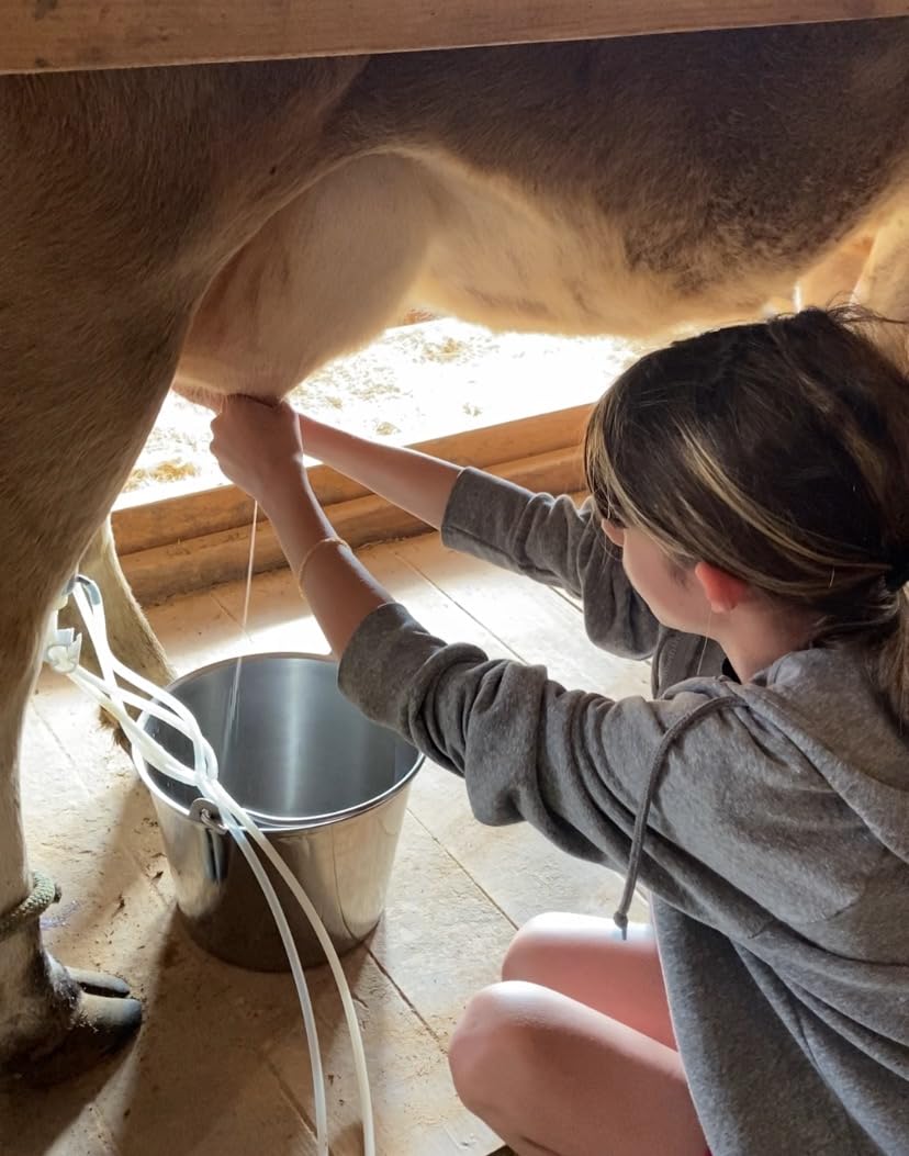 12L Cow Milking Machine, Plug-in Pulsation Pump Milker (Classic) | Pulsation System, Speed Adjustable, Auto Stop Check Valve, SUS304 Stainless Steel Bucket, Food-grade material customer photo 1
