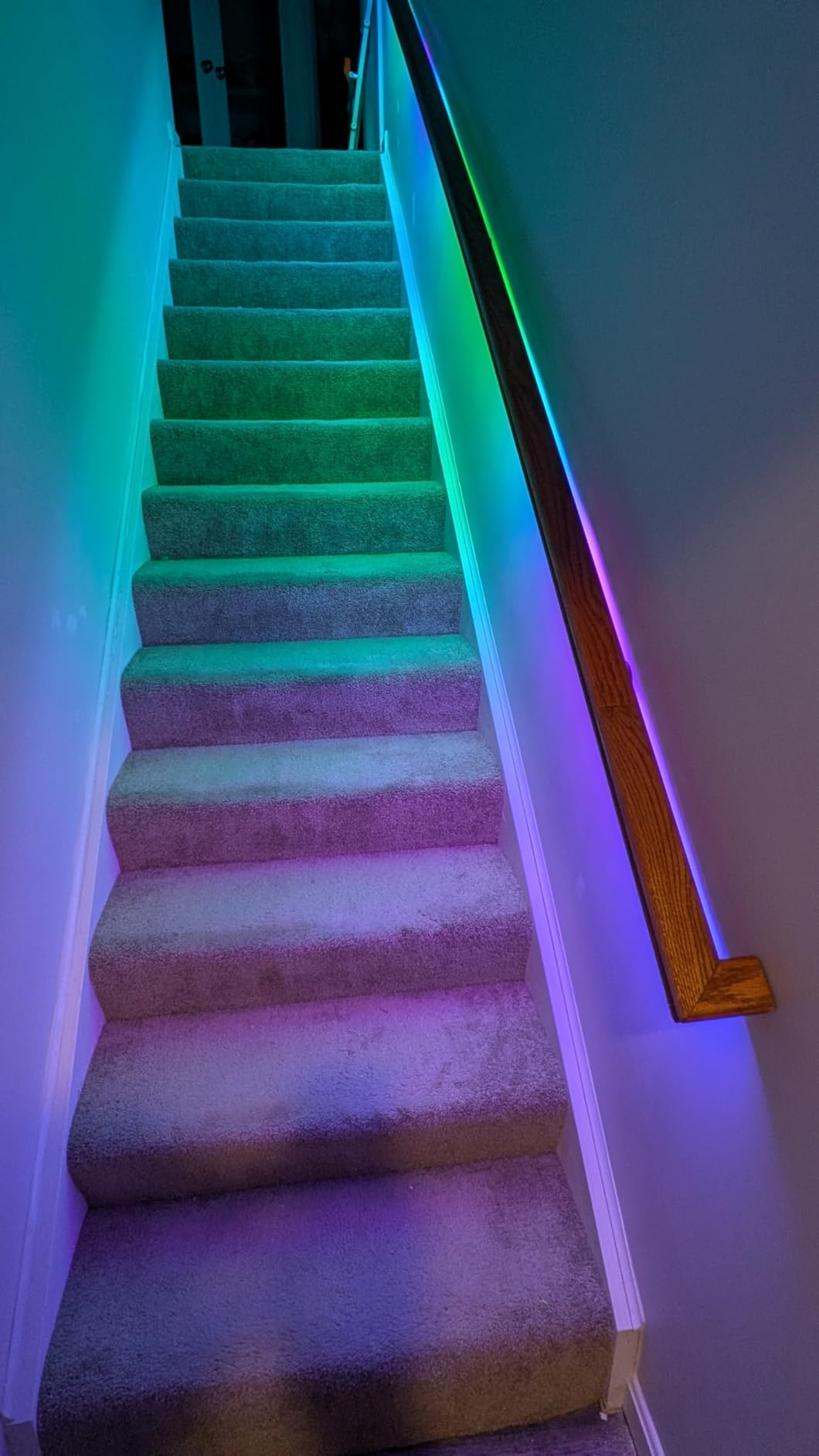Kasa Smart LED Light Strip, RGBIC, 16.4ft, Multicolor, KL420L5 | 50 Color Zones, Wi-Fi LED Strip Works w/ Alexa, Google Home & SmartThings, High Brightness, 16M Colors, PU Coating, Trimmable customer photo 2