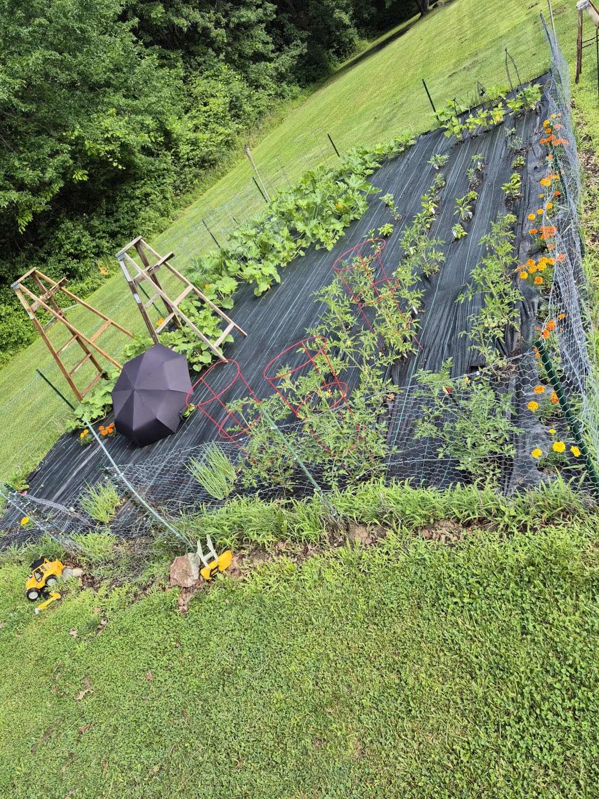 iropro 4ftx300ft Weed Barrier Fabric 3.2oz Landscape Fabric Heavy Duty, Woven Weed Barrier Control Cloth, Landscaping Fabric for Underlayment, Gardening Ground, Driveway Weed Block Cover Mat customer photo 1