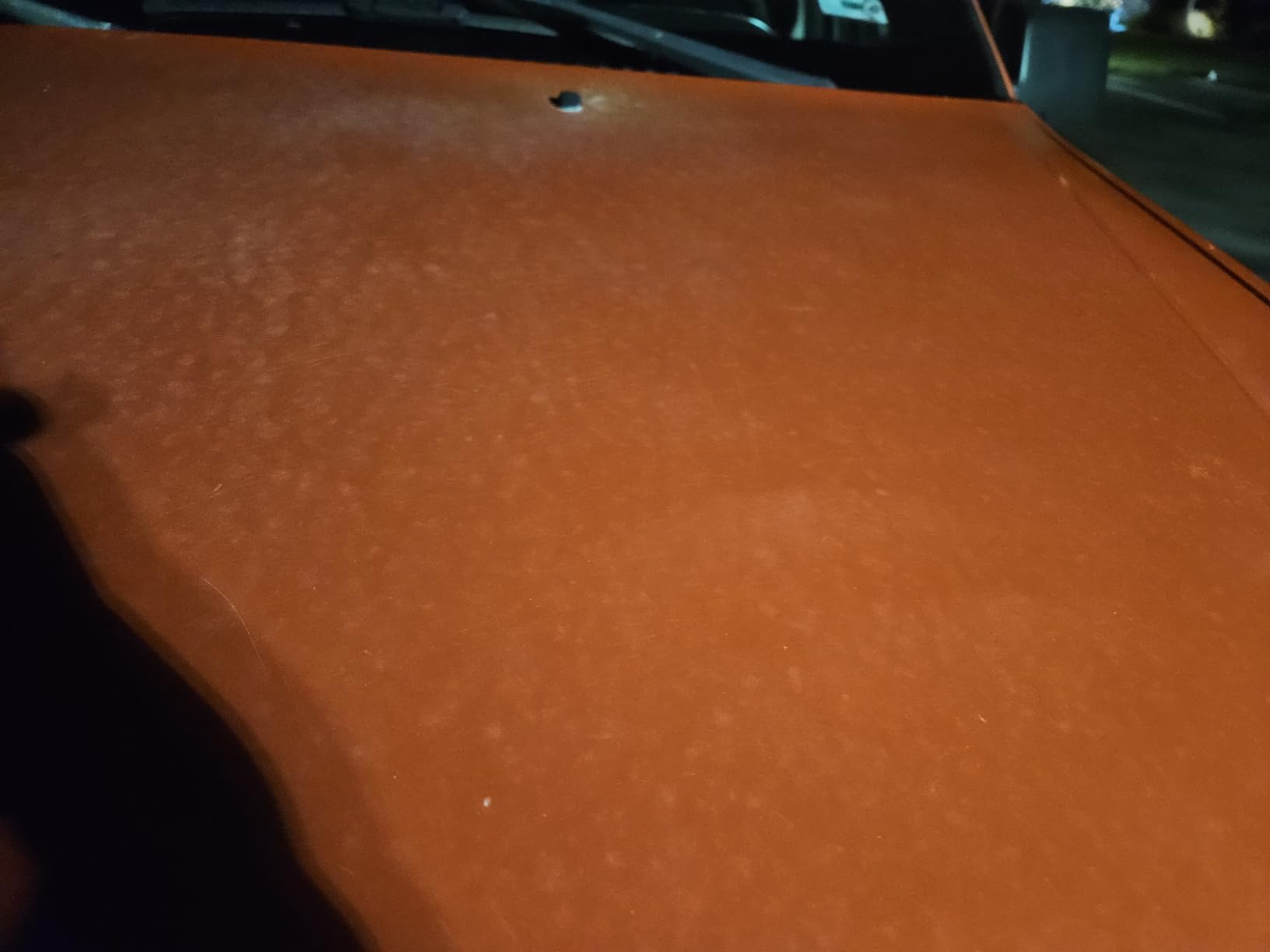 CERAKOTE Rapid Ceramic Paint Sealant, Ceramic Coating for Cars, 14 oz | Hydrophobic Spray Wax Alternative, 50-Wash Gloss and Slickness, Safe on All Paint Colors and Clear Coat customer photo 1