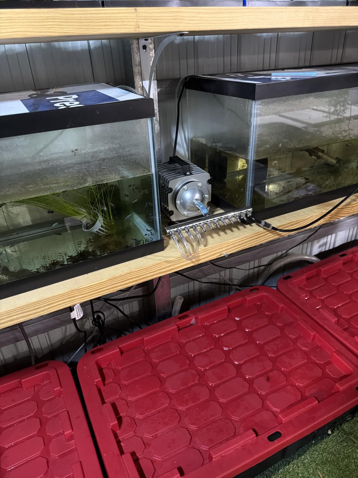 VIVOSUN 317/634/1110/1427 GPH Aquarium Air Pump Commercial Air Pump with Aluminum Housing, Outlet 15/25/40/55 W, Fish Tank Bubbler Pond Aerator for Aquariums, Ponds, Hydroponics customer photo 1