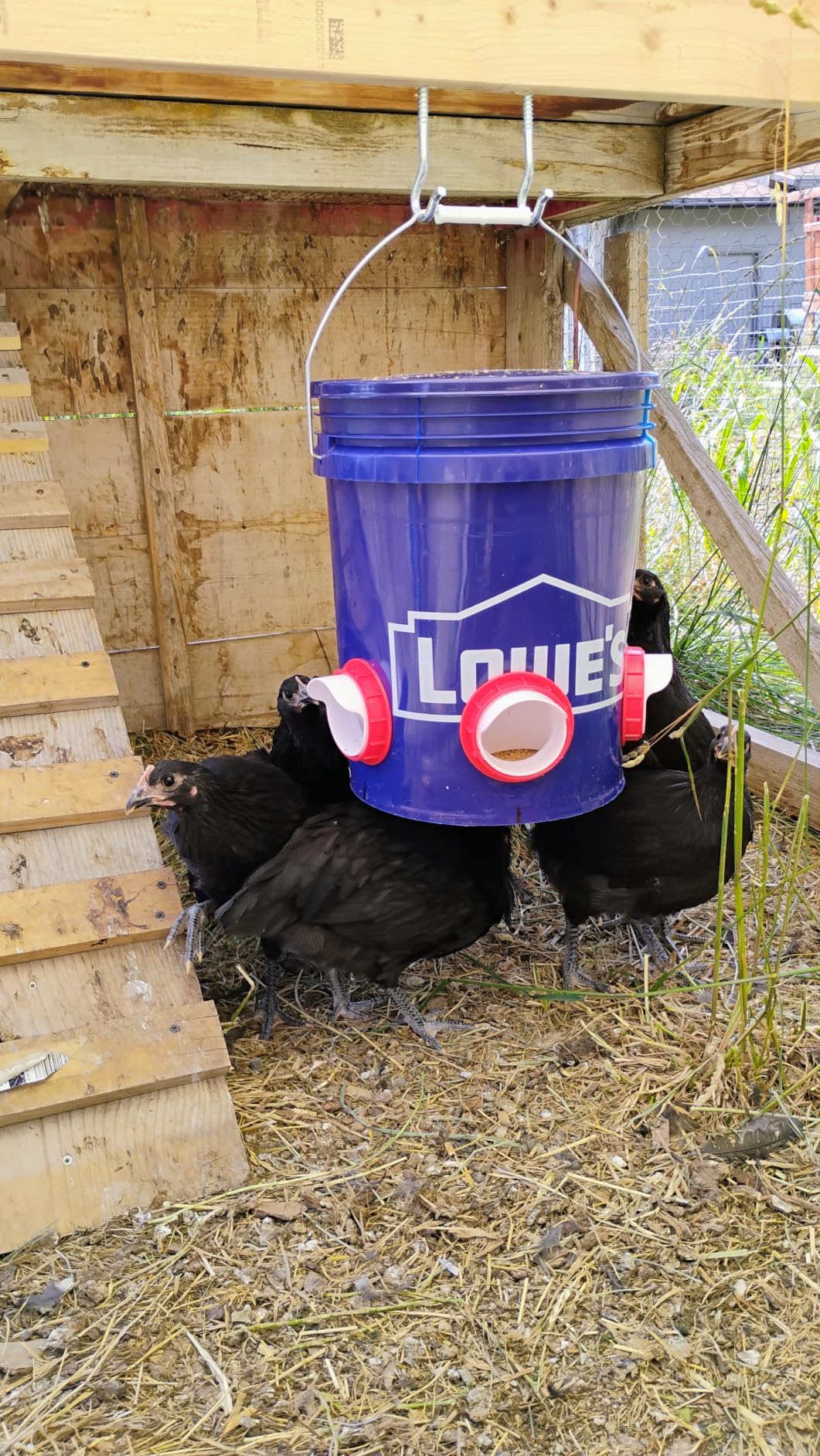 Chicken Feeders No Waste, DIY Automatic Poultry Feeder - 6 Ports Red | Buckets Barrels Bins Troughs‑mountable Design for common Breeds of Chicken Flock with Hole Saw customer photo 1