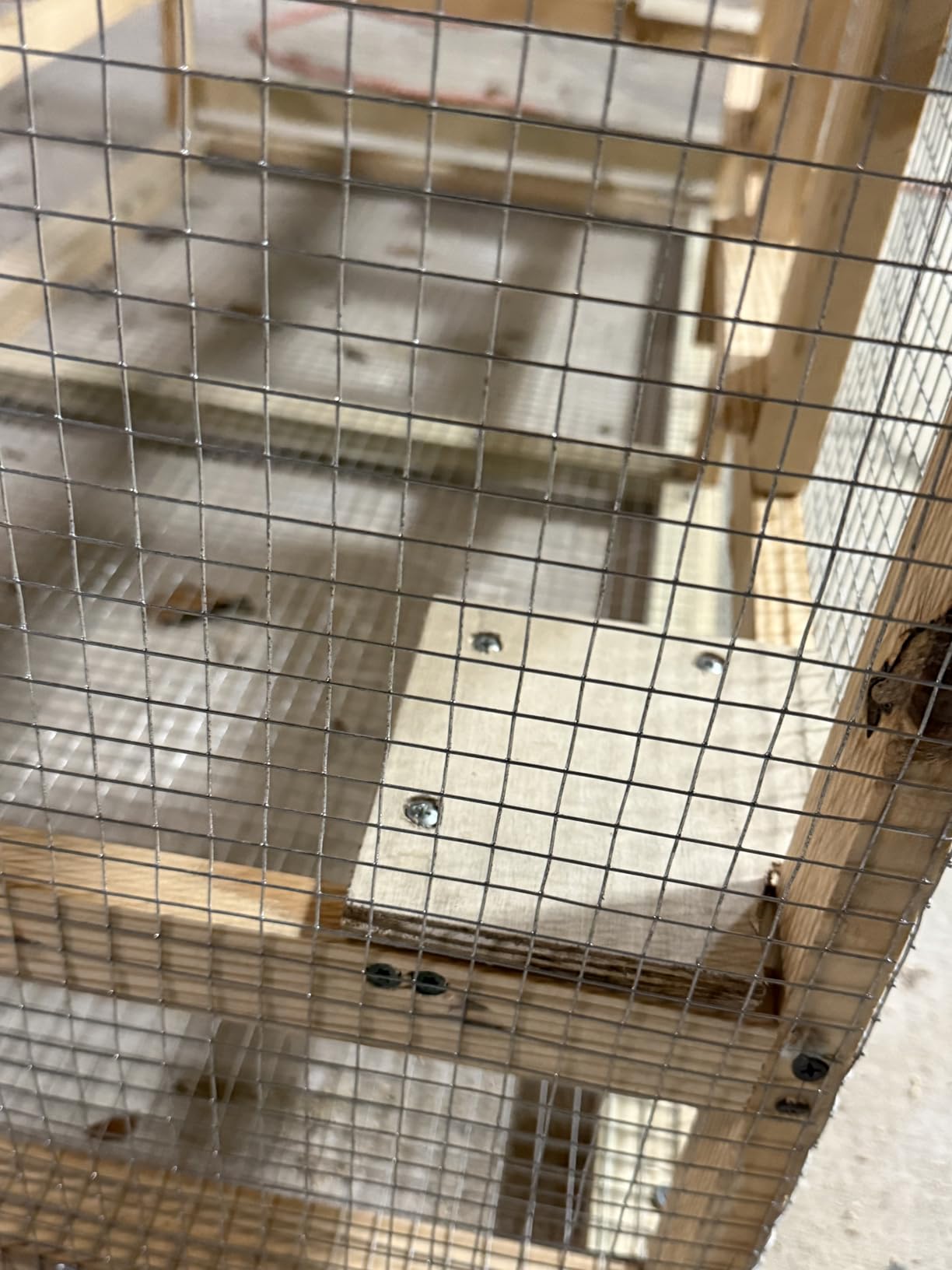 Hardware Cloth 1/2 Inch 36 x 50 Ft, 19 Gauge | Hot-Dip Galvanized After Welding Chicken Wire Mesh Roll for Welded Wire Fencing and Welded Wire Fence customer photo 2