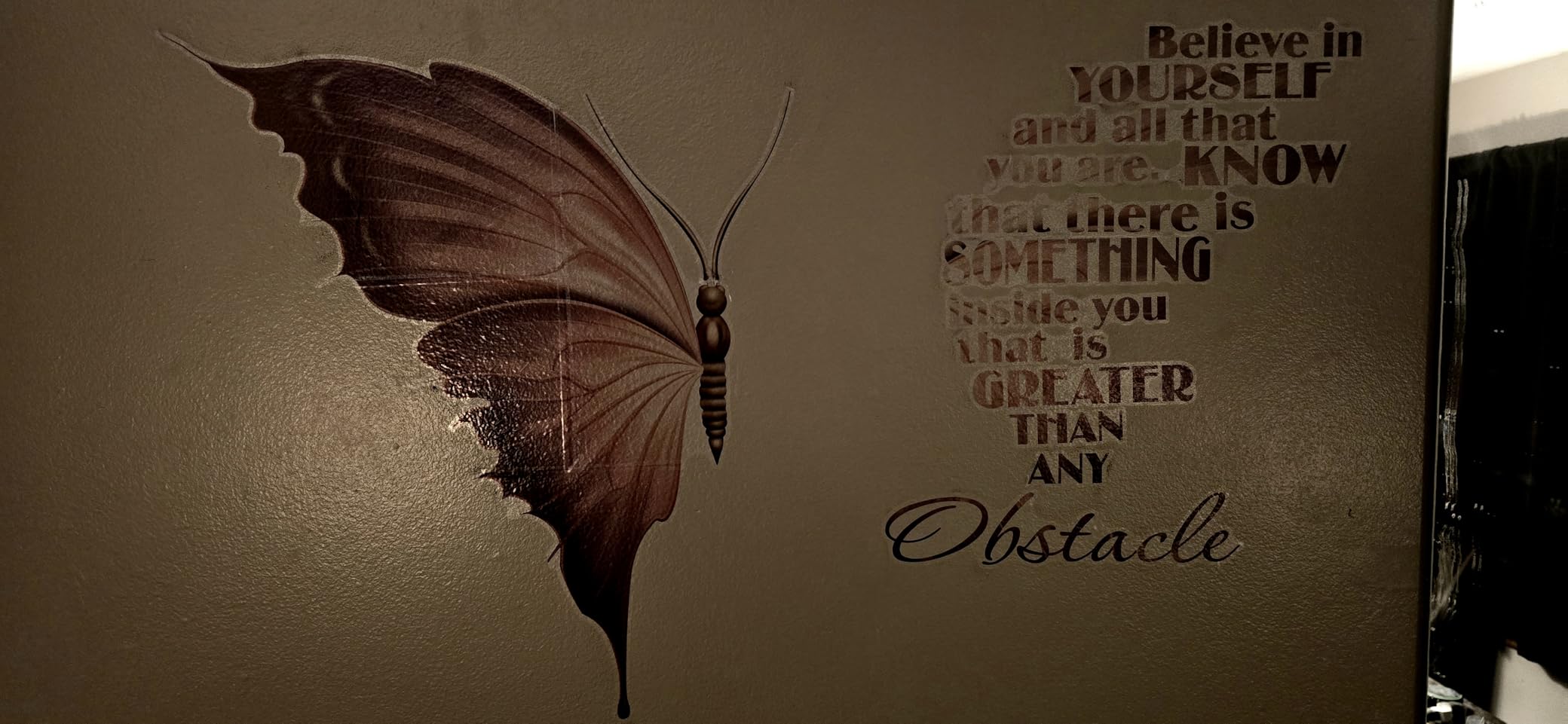 Large Inspirational Butterfly Wall Decals Stickers, Motivational Saying Positive Peel and Stick Wall Art Decals for Women Girls Bedroom Living Room Office (Colorful) customer photo 1
