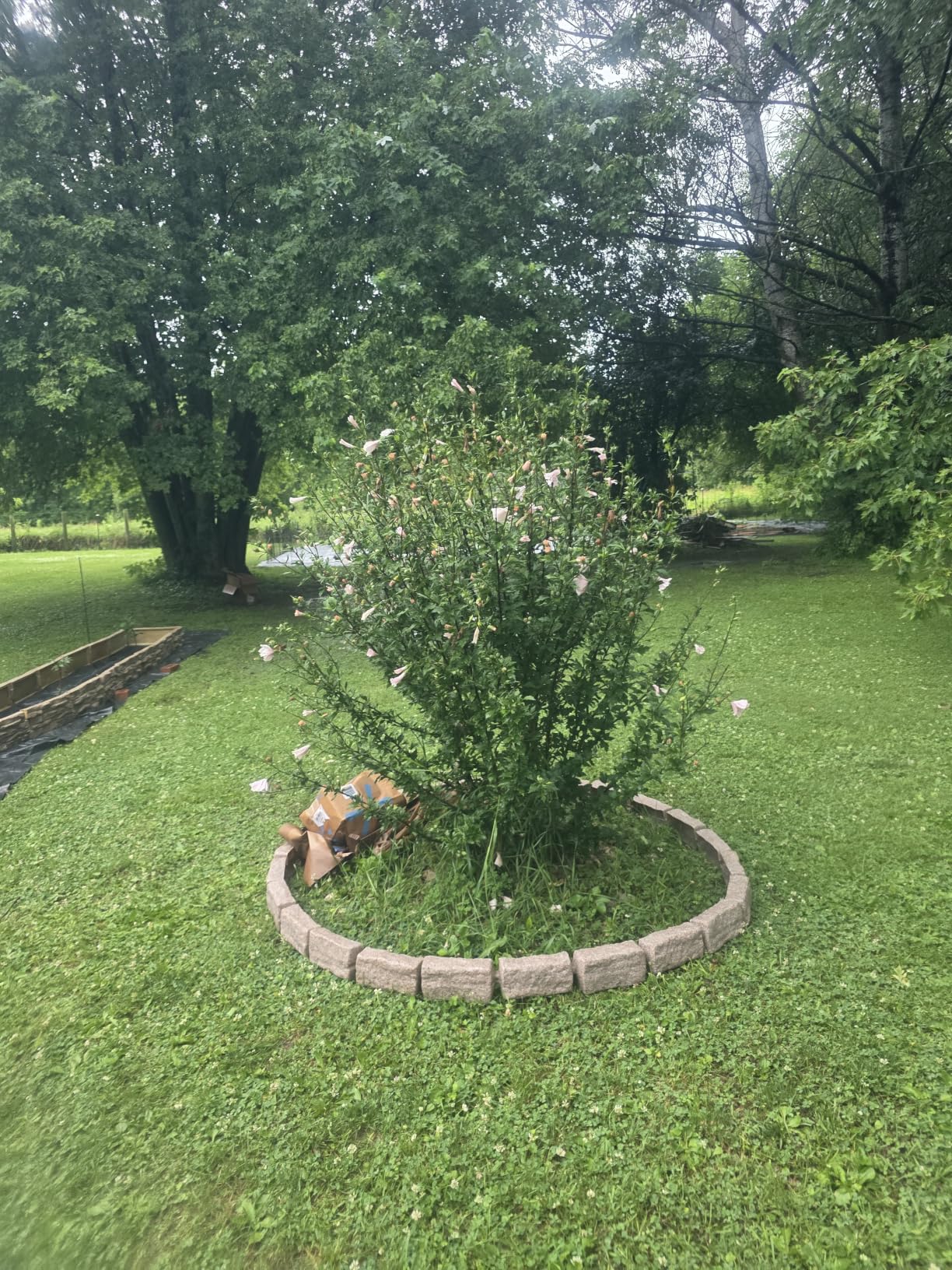 Landscape Edging | Garden Edging Border | Polyrock Bricks for Lawn Edging, Flower beds, Pathways & Yard Edging - 1 Pack | Each Section Has 6 Bricks 48