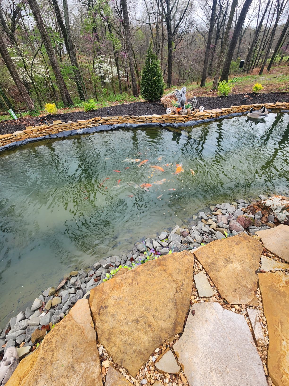 Pond Aerator|Septic Tank Air Pump| Premium Koi Fish Pond Aeration System| Applicable Depth 0-8 feet| 1.91CFM 4.35PSI 25W| Includes Two 20ft Rubber Airlines and Diffusers customer photo 1