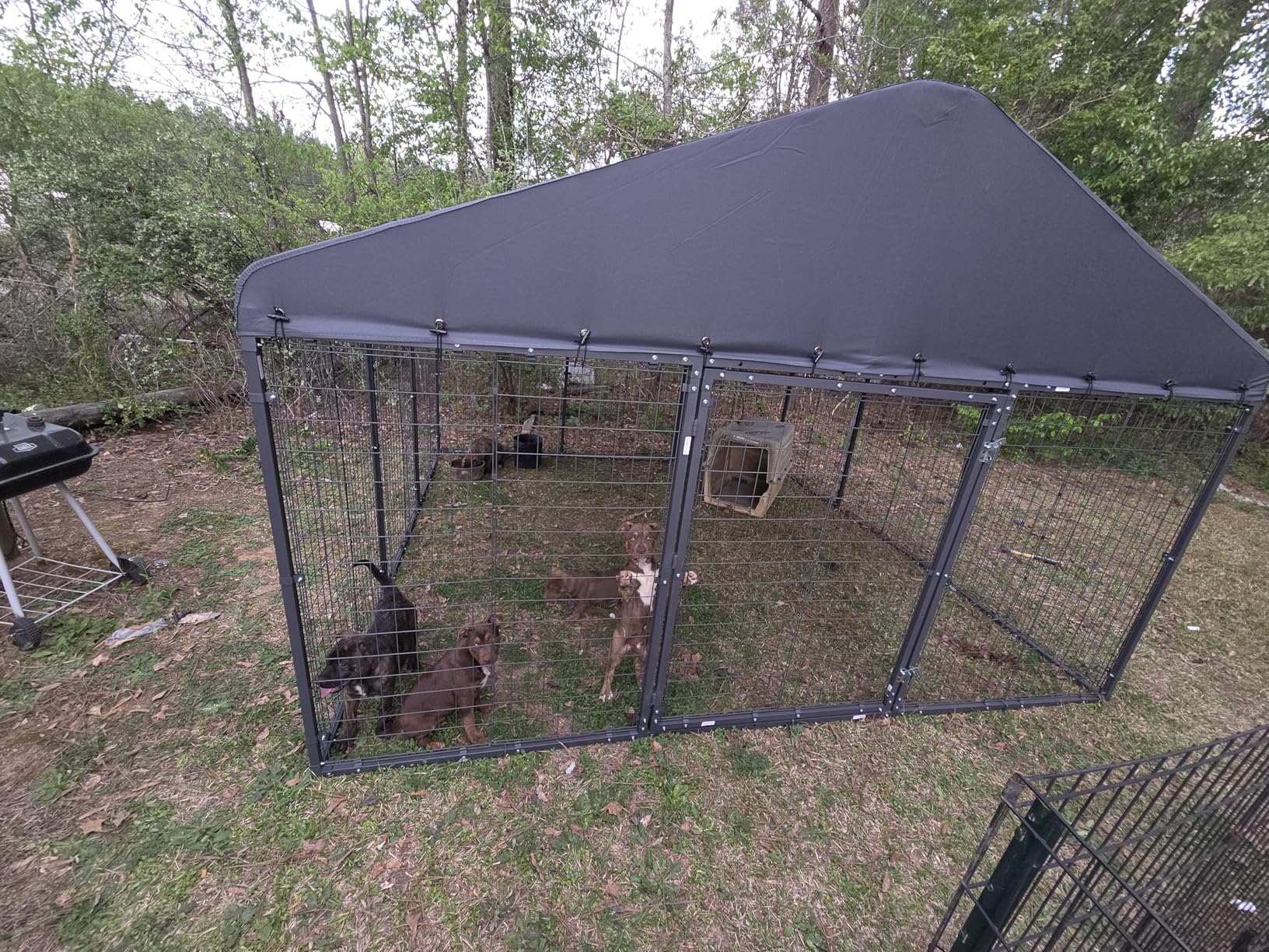Dog Kennel Outdoor, 10x10x6 FT Heavy Duty Dog Pens Outside with UV & Water Resistant Roof, Large Dog Fence for Yard Metal Chicken Run with Double Locks customer photo 2