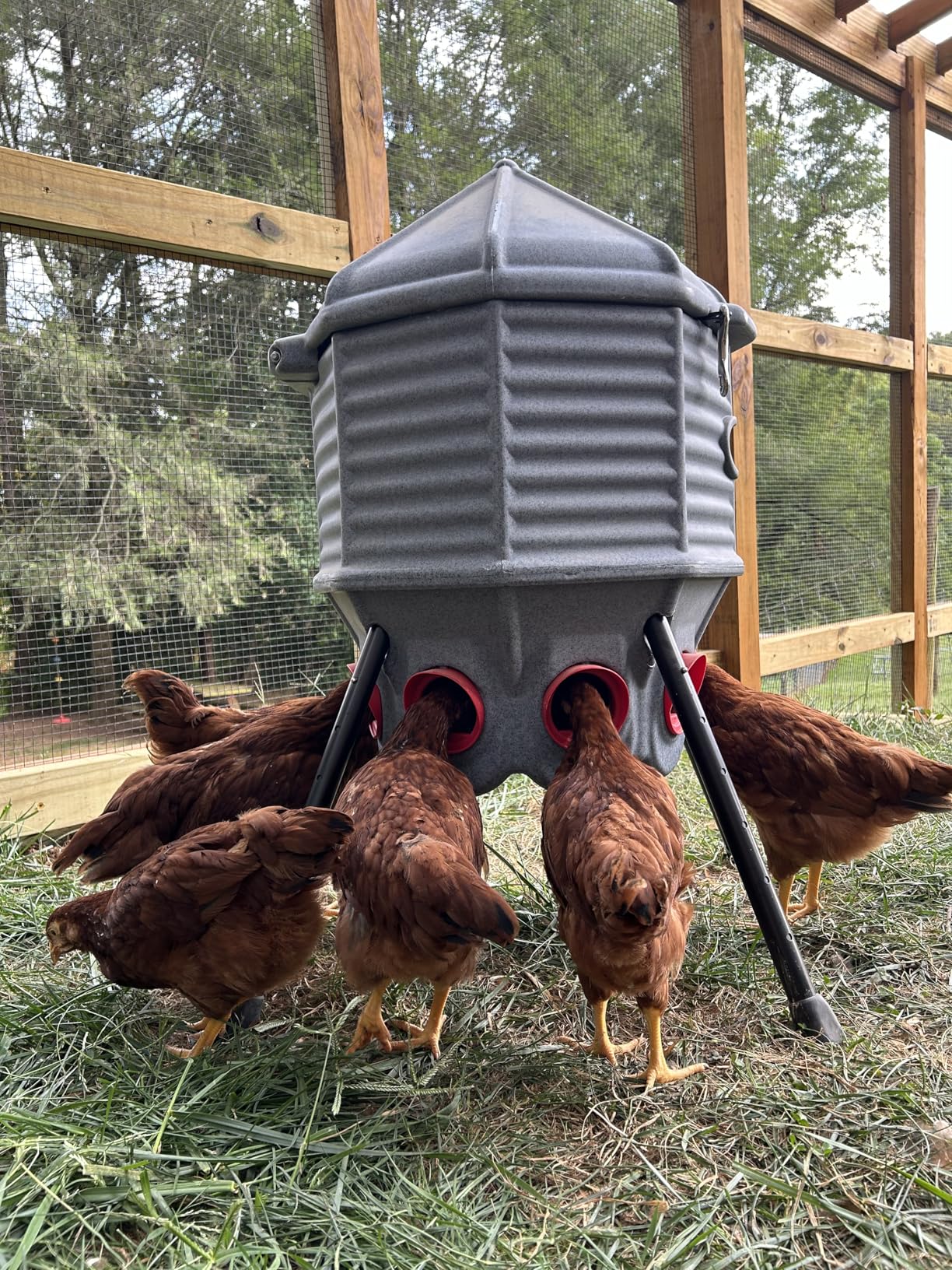 CoopWorx Poultry Feeder - 80 lb Capacity - Adjustable Height - UV Stable - Weather Resistant - 8 Feed Ports - Silo Shaped Design - Rust-Proof - Intended for Chickens/Ducks/Turkeys - Made in USA customer photo 2