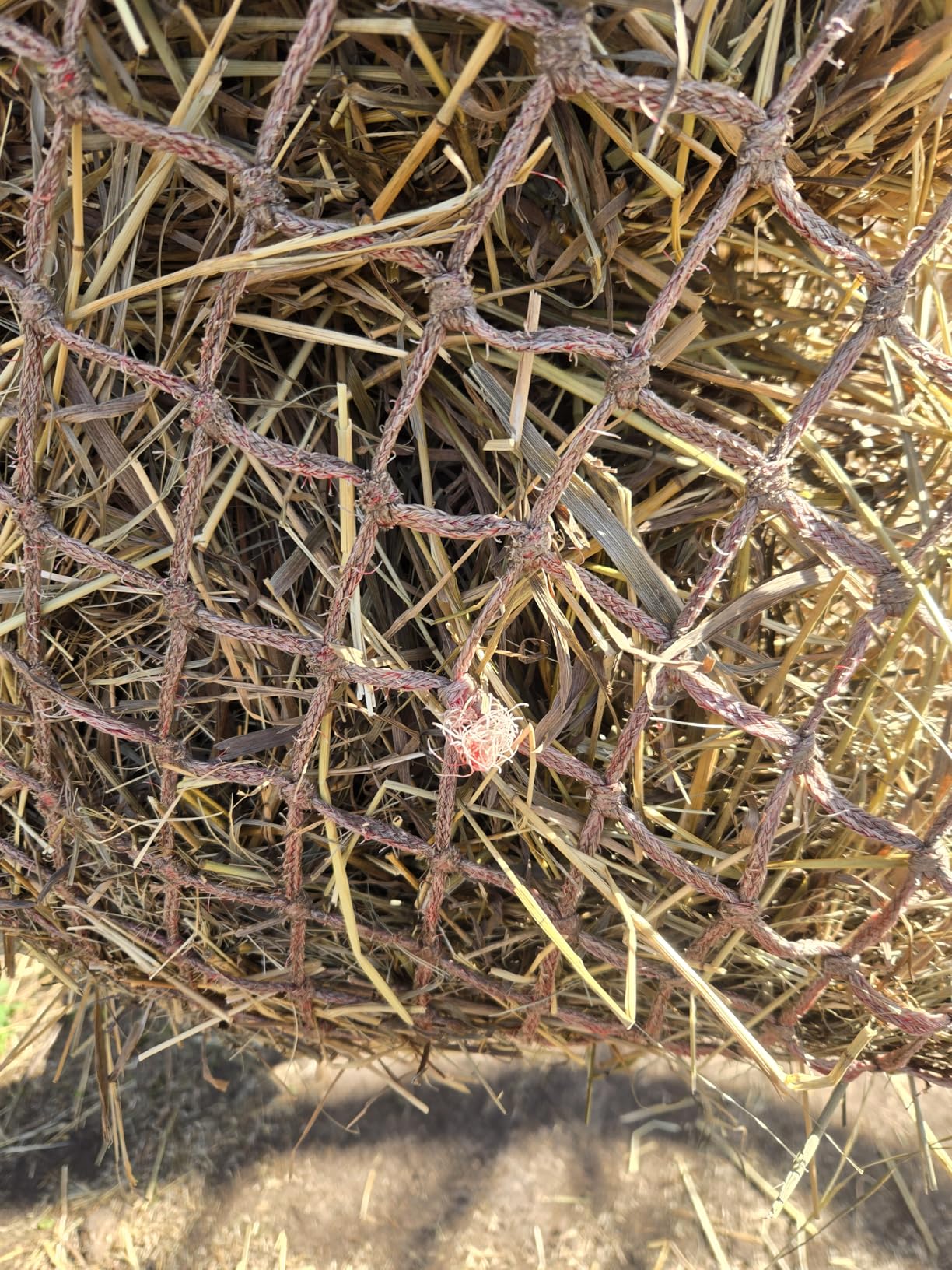 T TEKE 2 pcs Classic Slow Hay Feeder Hay Nets, 40