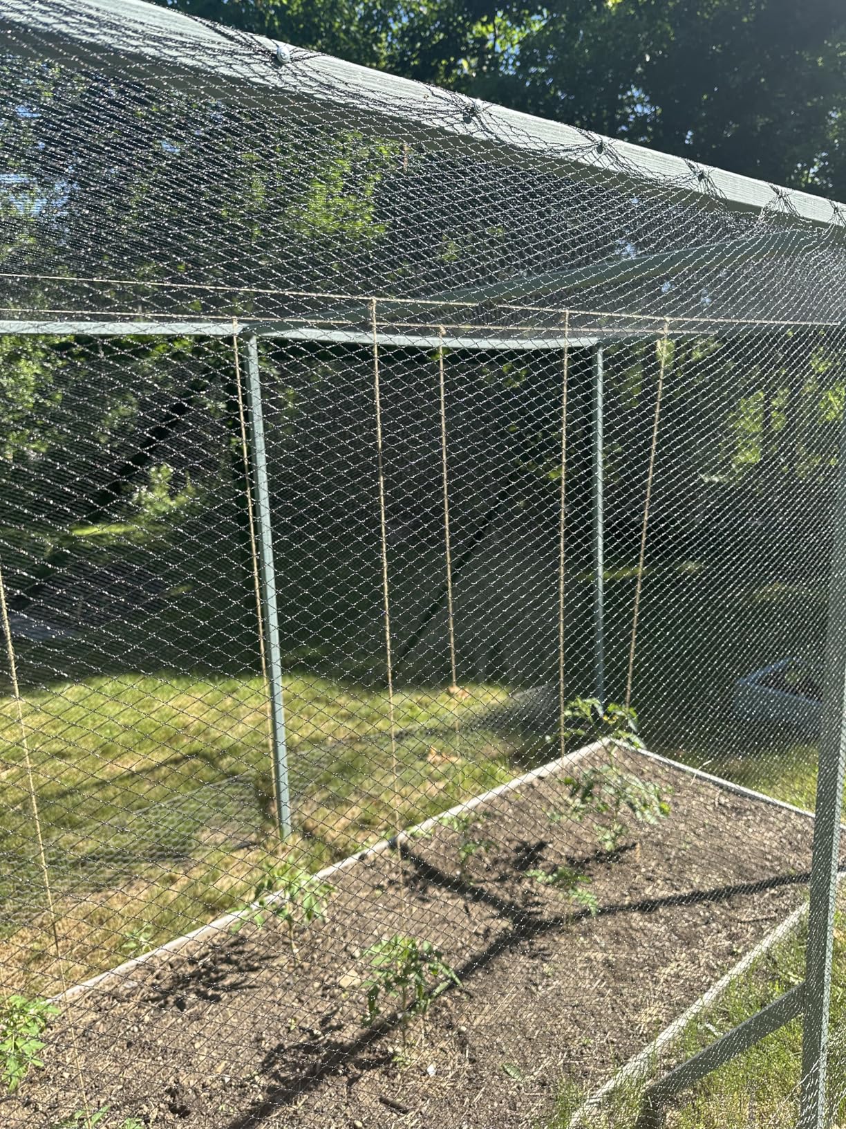 AlpineReach Garden Netting 7.5 x 100 ft Heavy Duty Bird Net, Deer, Plant Protection Extra Strong Woven Mesh, Reusable Kit with Zip Ties, Animal Fencing for Fruits Trees, Black customer photo 2