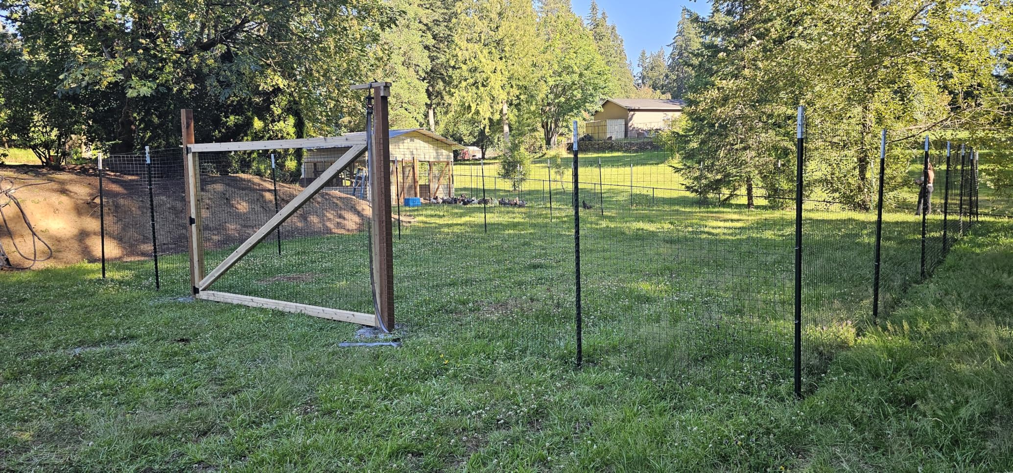 Green Metal Garden Fence, 72inch(H) x 50ft(L), 2 inch x 4 inch, 12.5GA Coated (14GA Bare) PVC Coated Welded Wire Mesh Roll customer photo 1