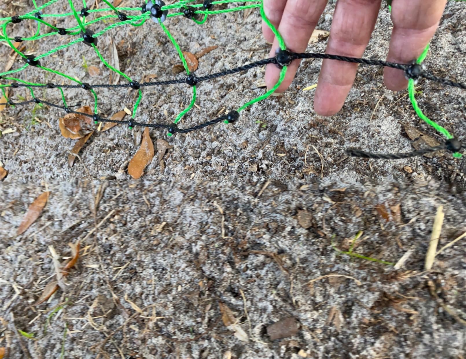 Electric Poultry Netting, 48