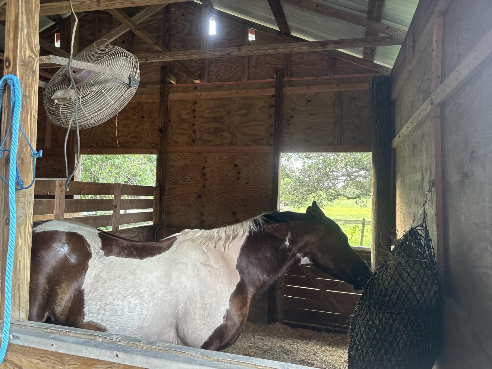 Bloomoak Slow Hay Net Feeder for Horses, Durable Soft Black PE Hay Bales Bags with 2