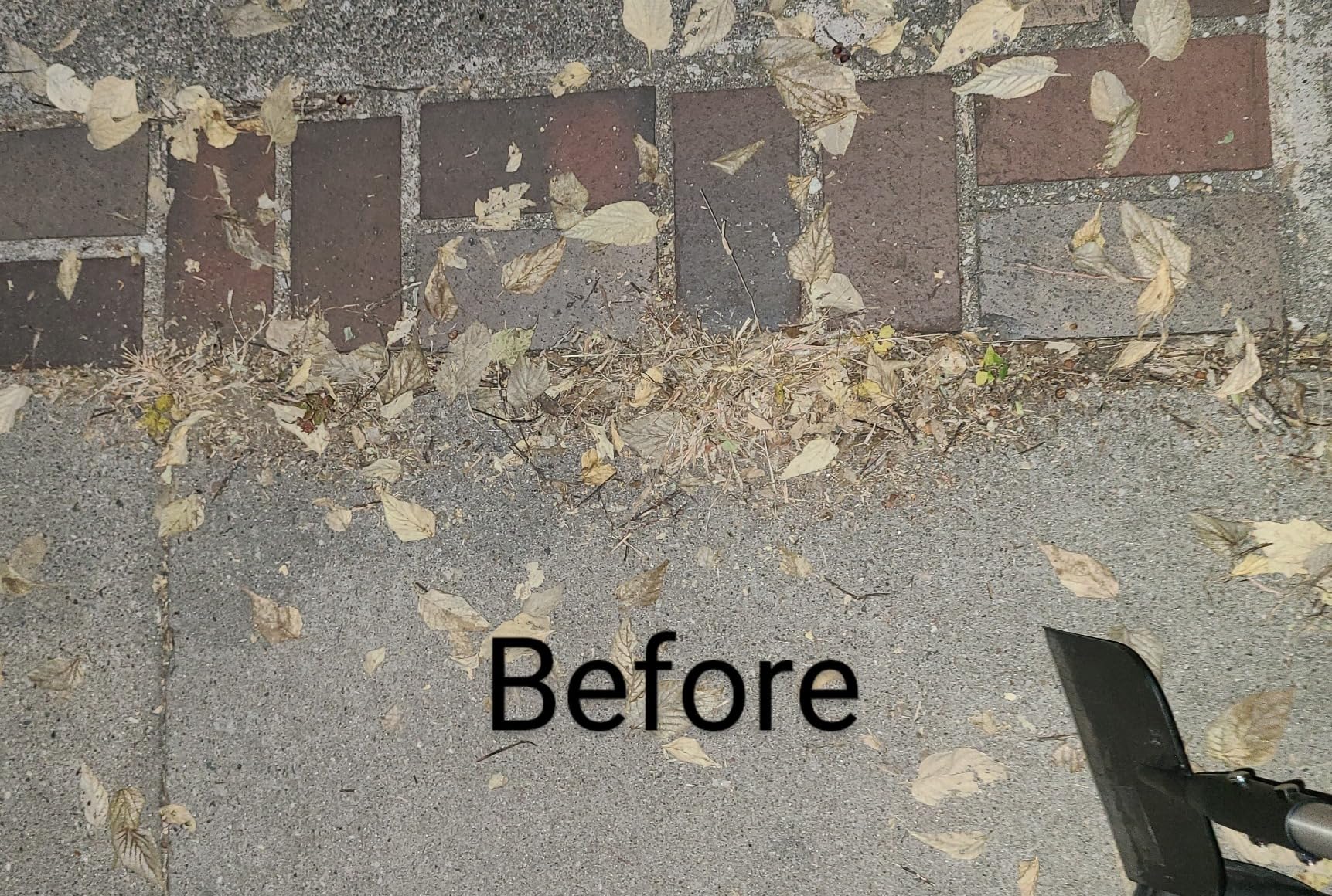 BARAYSTUS Flat Shovel with Adjustable Handle, 59 in Floor Scraper, Ice Scraper, Garden Cleaning Scraper, Ice Chopper, Snow Shovel customer photo 2