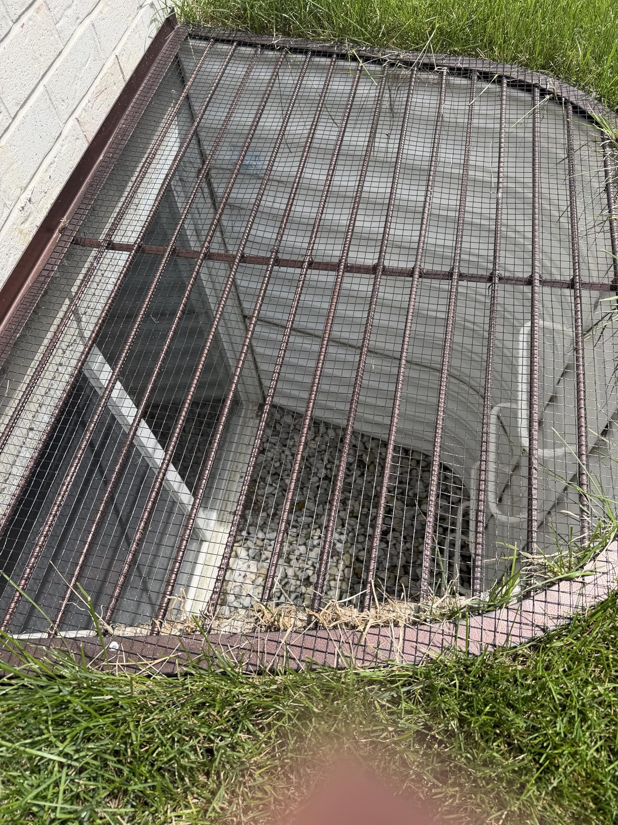 Black Hardware Cloth 1/2 Inch 48 x 100 Ft 19-Gauge Vinyl Coated Welded Wire Fencing Mesh Roll customer photo 1