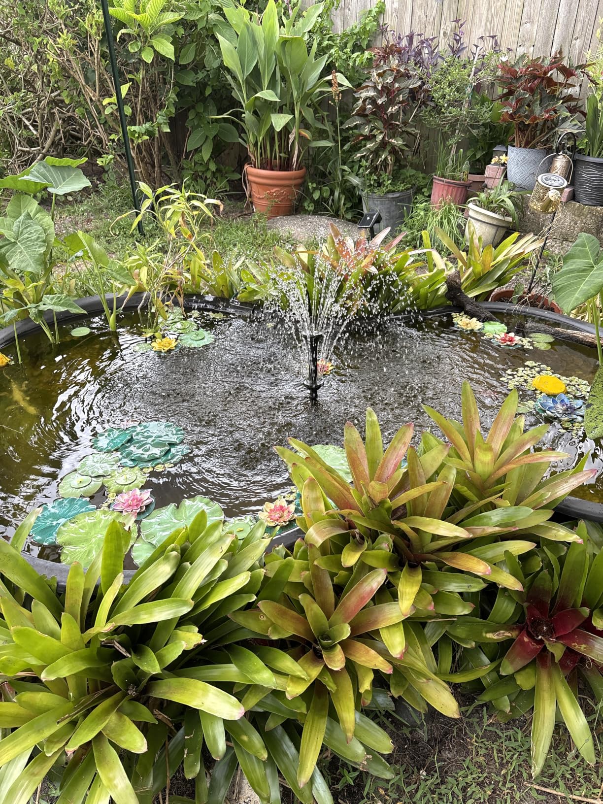 Pond Filter with Fountain Pump Kits, 50W 660GPH Pond Pump and Filter Kit with Submersible Water Pump Flow Adjustable for Outdoor Ponds Koi Pond Garden Fish Tank Water Features customer photo 2