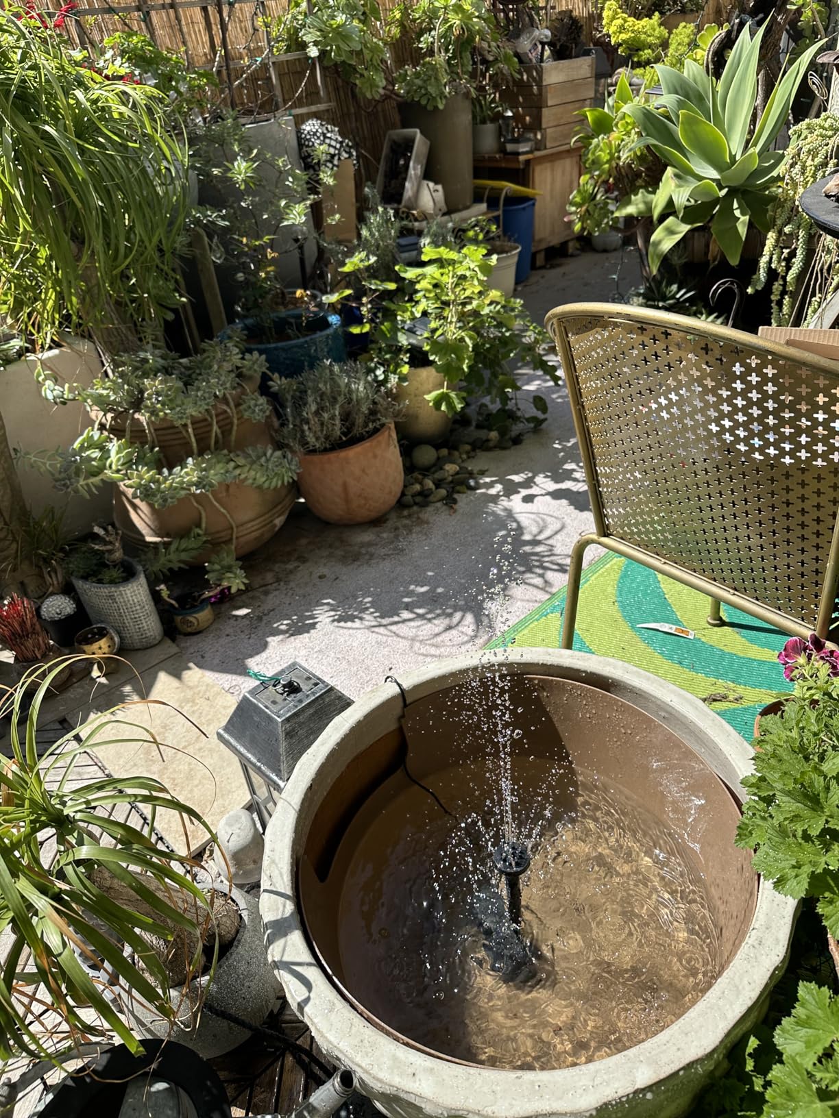 Biling 12W Solar Pond Pump Dry-Run Protection Quiet Fountain Pump Bird Bath | Tempered glass panel, 160GPH flow, 4.9ft lift, 4 nozzles, 16.4ft cord, Dual filter & adjustable mount for water features customer photo 2