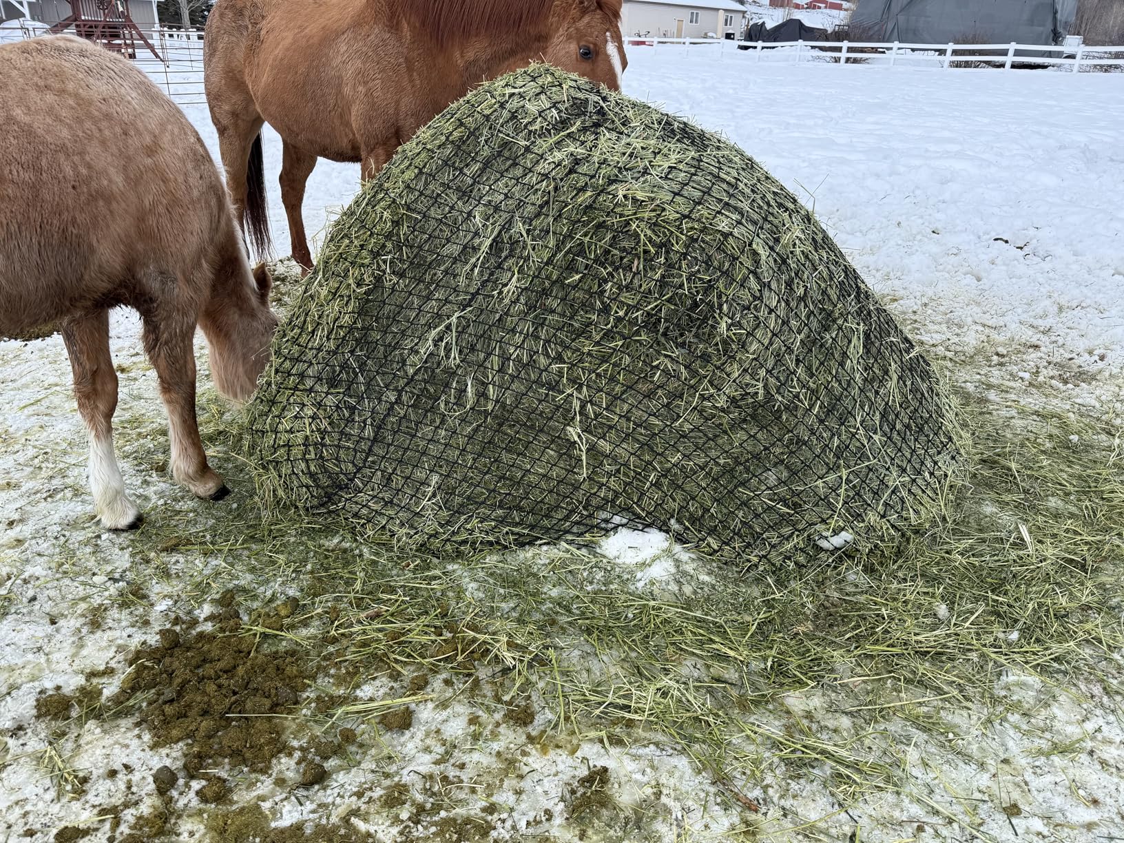 TONGMO 4x4 ft Round Bale Hay Net for Horses & Livestock - Slow Feeder Hay Nets with 2 inches Hole customer photo 2