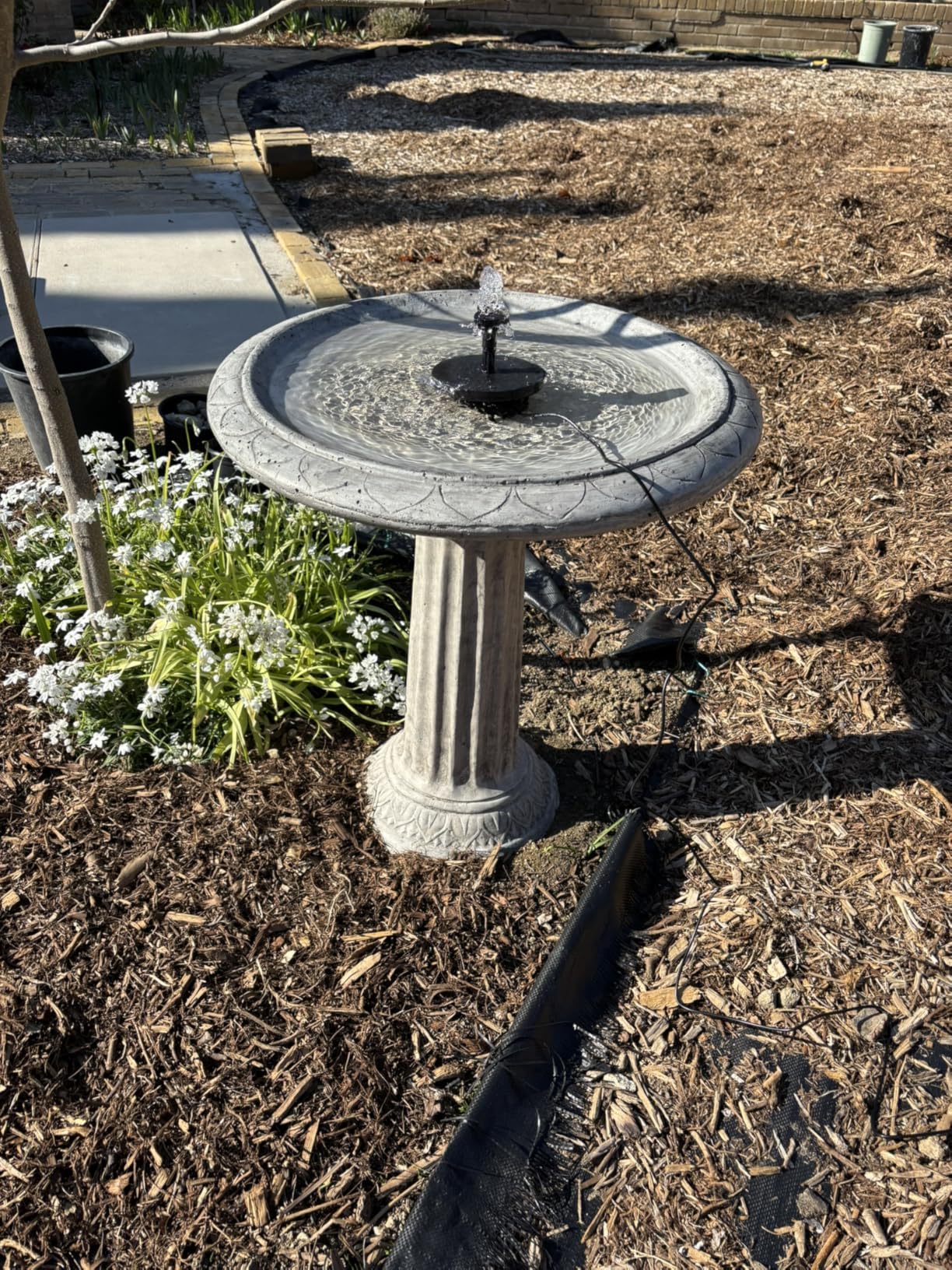 Antfraer Solar Fountain Pump for Bird Bath, 8W Solar Water Fountain Pump with Dry-Run Protection & Double-Layer Nozzles, Solar Powered Fountain with 5Ft Tubing for Small Pond, Bird Bath, Water Feature customer photo 2