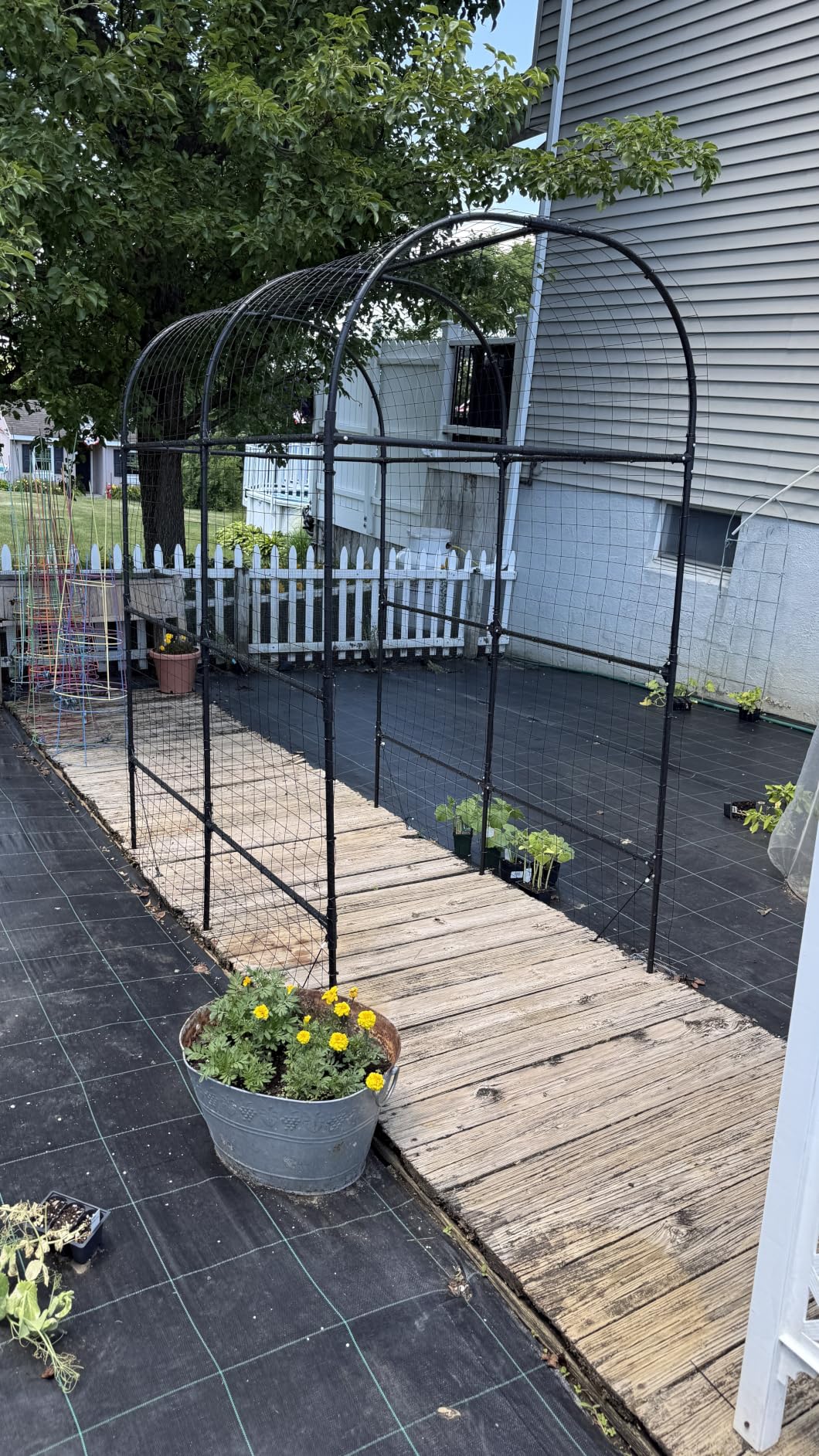 Black PVC Coated Welded Wire Fence 24 in x 50 Ft, 2 x 3 Inch 16GA Garden Border Fencing Roll customer photo 1