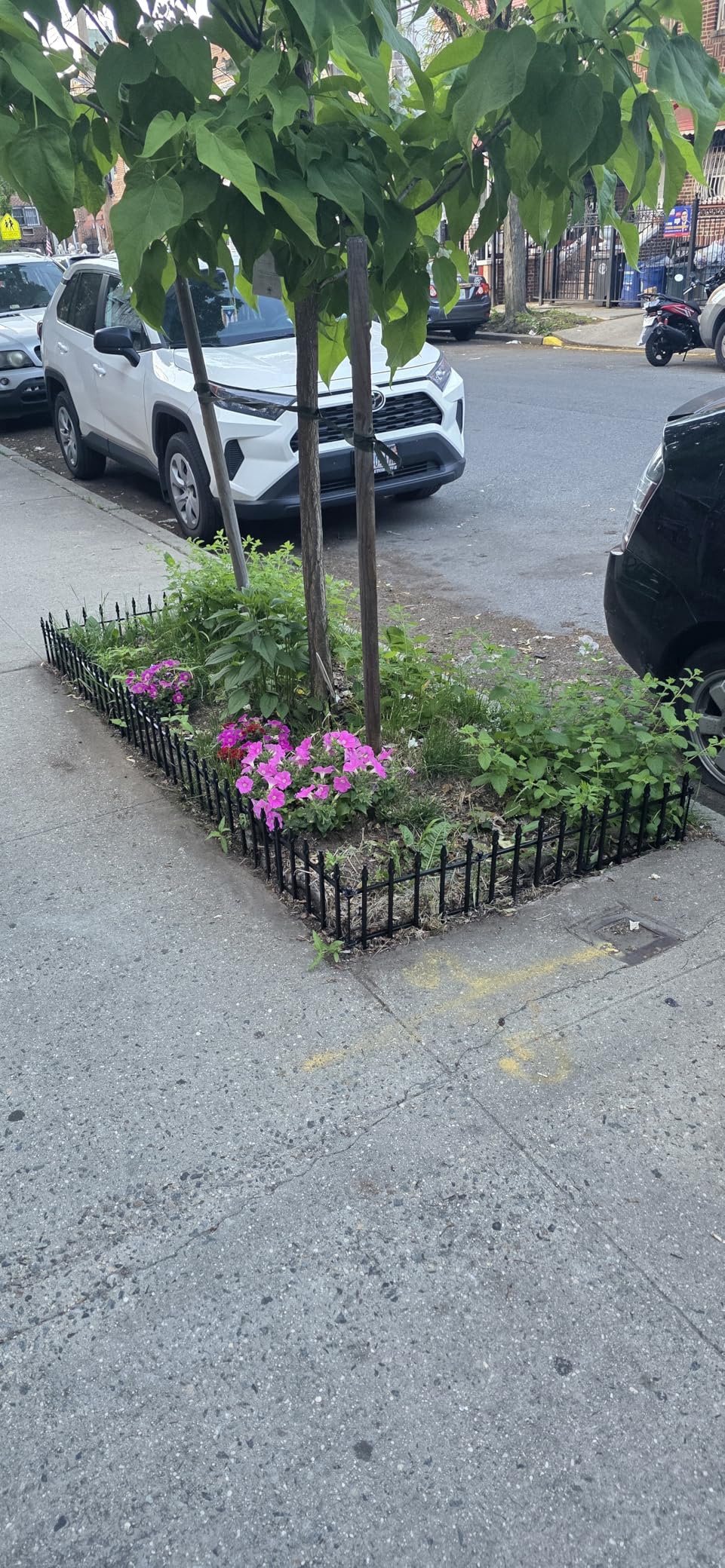 Decorative Metal Garden Fence with Gate 42