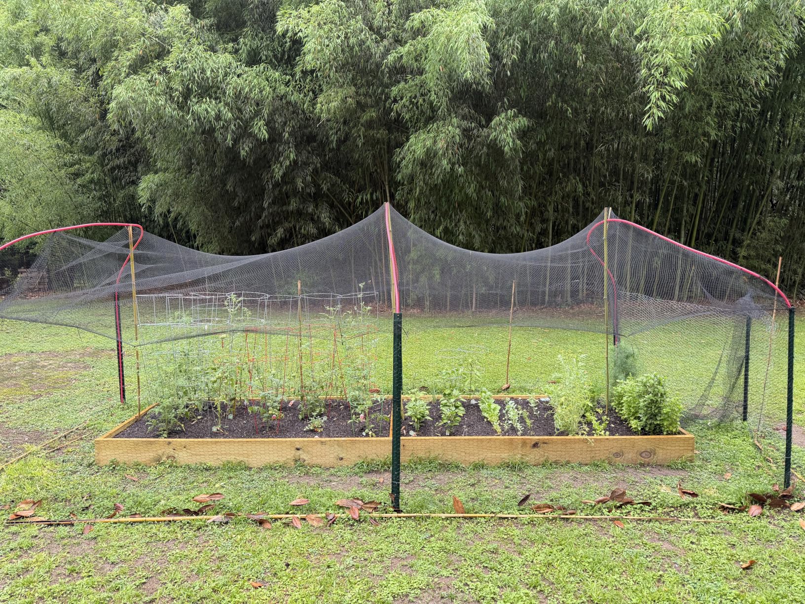 Deer Fence Netting Garden Netting Bird Netting - 7x100ft UV-Protected Garden Fence for Plant with 3/4