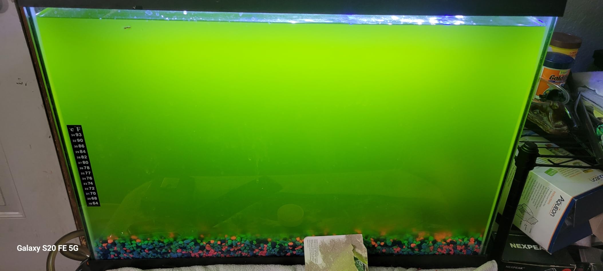 12W Inline Aquarium UV Light Clarifier for Koi Pond Small Pool Filter Cold Plunge UVC Light Stainless Steel Ultraviolet Green Clear Machine customer photo 2