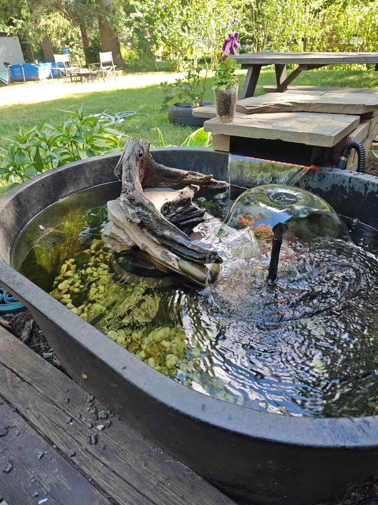 All-in-1 Pond Waterfall Kit | 850GPH Pond Filter Pump | 12-inch Stainless Steel Waterfall Spillway | Remote Control LED Lights | 4-Stage Filtration Outdoor Waterfall for Water Feature, Garden, Pool customer photo 2