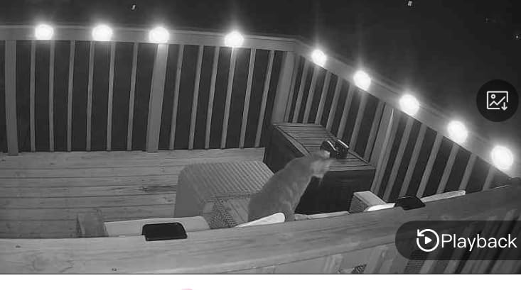 Solar Deck Lights Outdoor, Fence Lights Waterproof, 16 Pack Warm White | LED Step Light for Outside, Patio, Stair, Garden, Yard customer photo 2