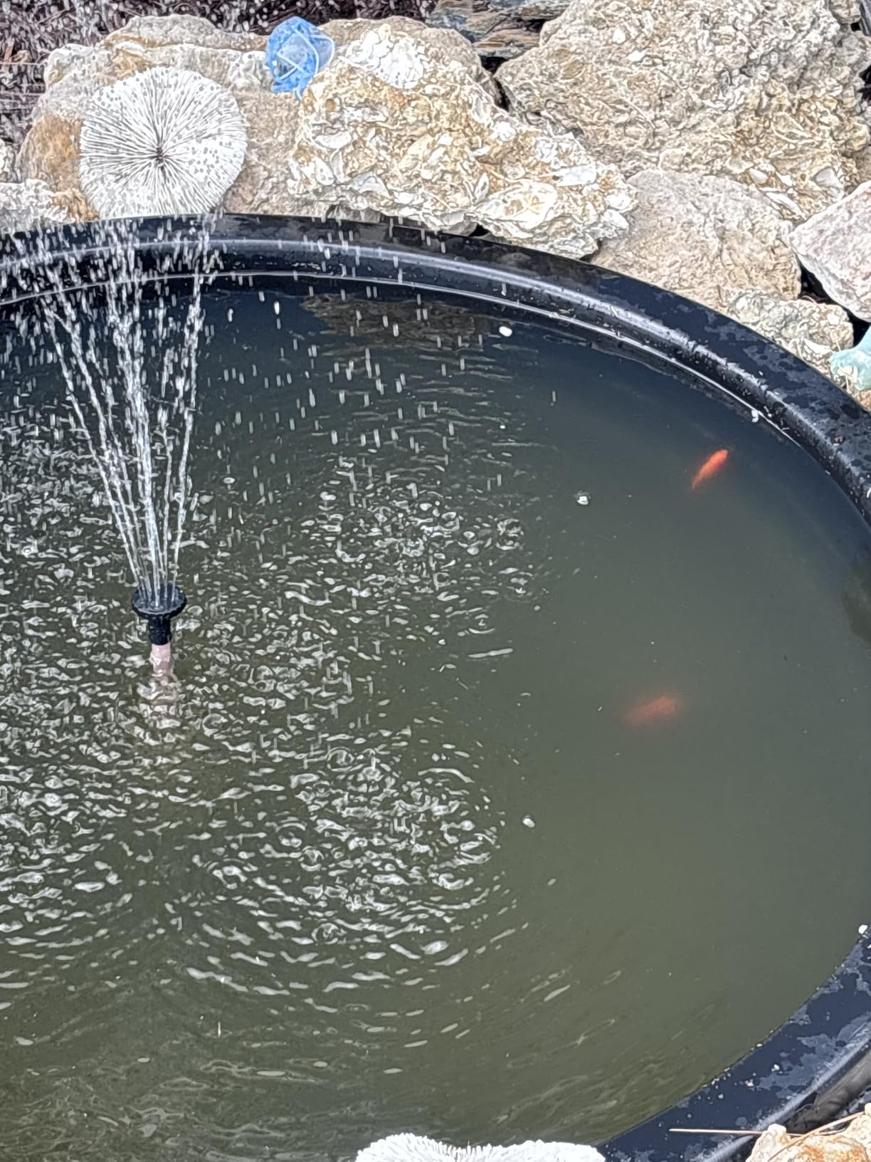 8W Solar Pond Filter Built-in 3600mAh Battery Backup, Solar Pond Filter with Water Pump, Solar Water Fountain Pump for Ponds Fish Tank Bird Bath Waterfall Garden DIY Water Feature P3081D customer photo 1