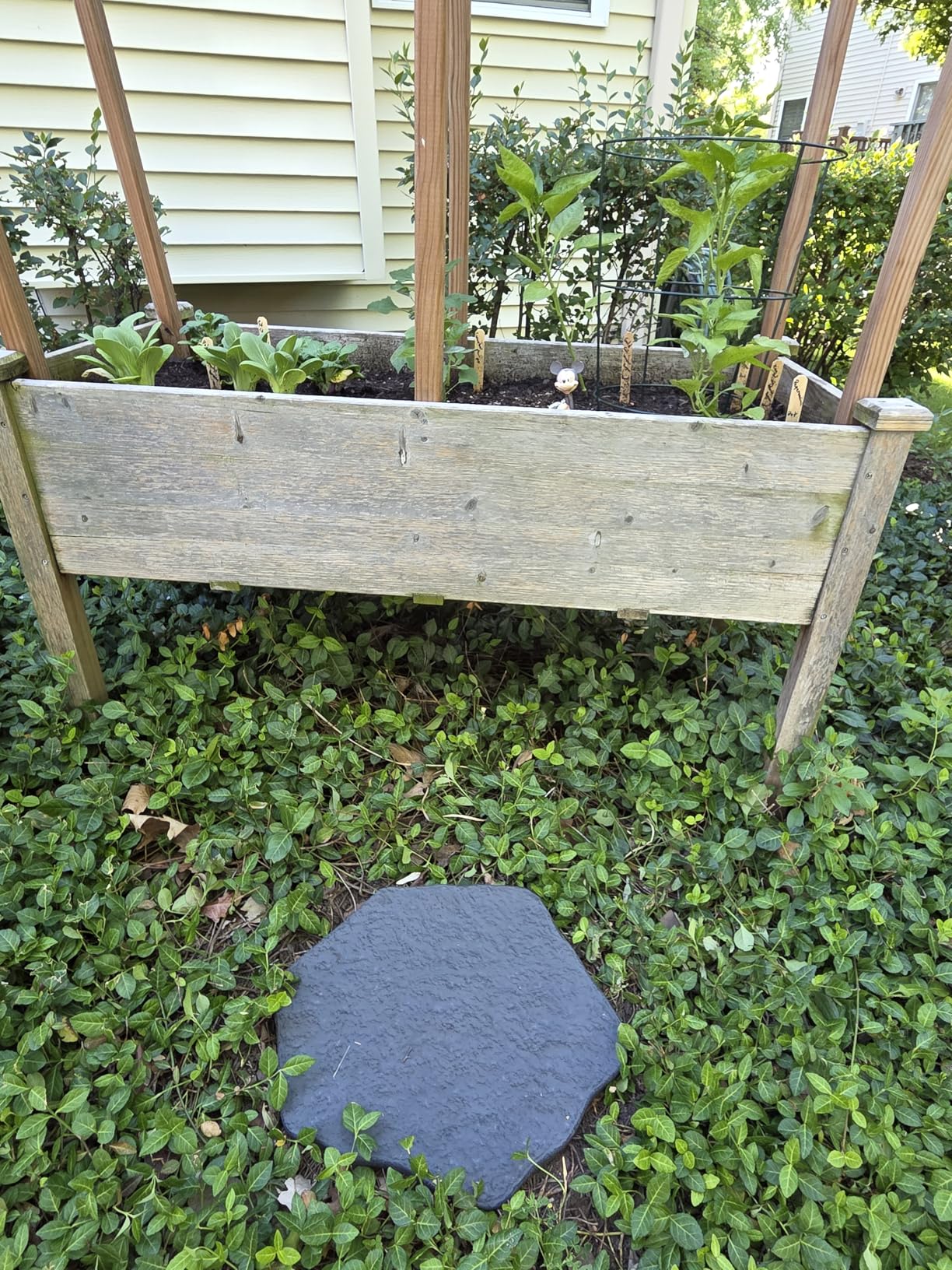 Arcadia Garden Products Set of 4, 16x17