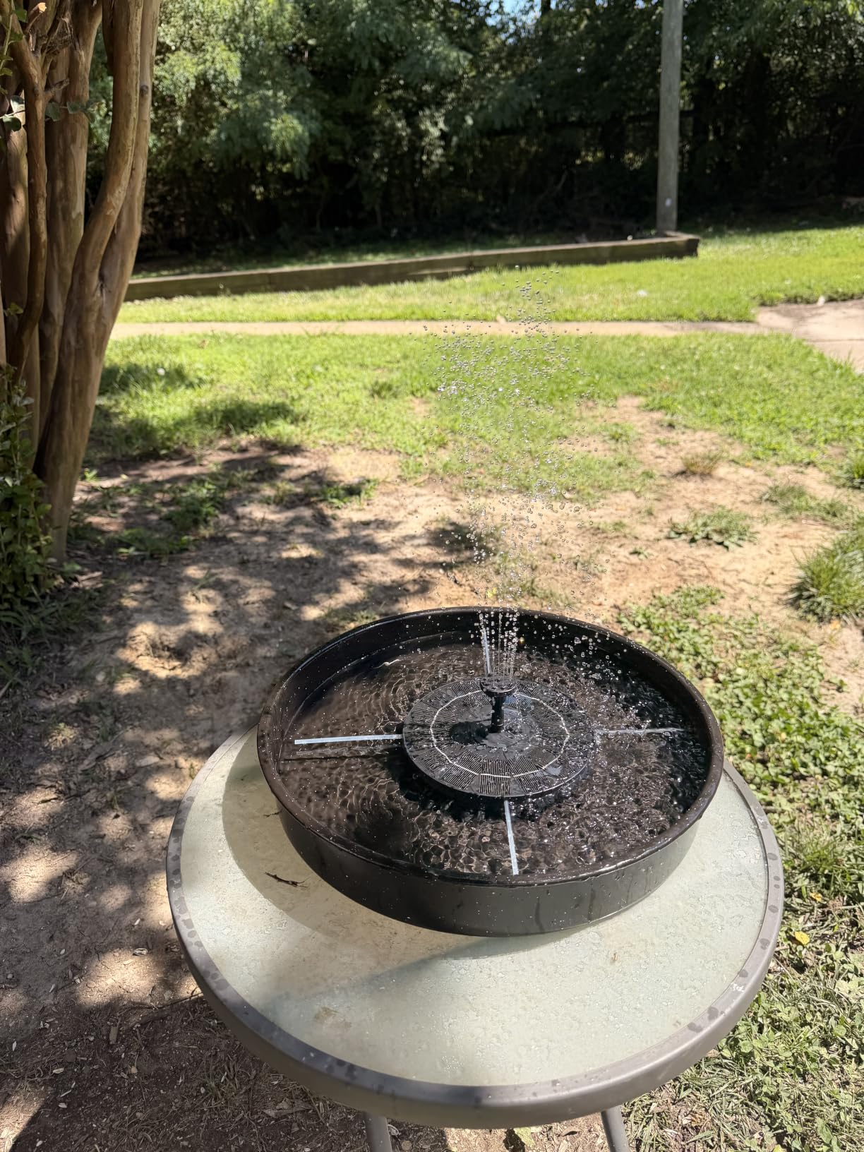 AISITIN Solar Fountain Pump with 6 Nozzles, 2026 Solar Bird Bath Fountains, Upgraded Floating Solar Water Fountain for Garden, Pond, Pool & Outdoor customer photo 2