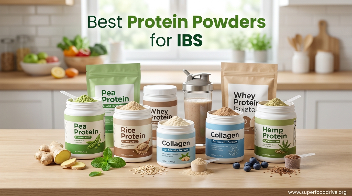 Best Protein Powders for IBS