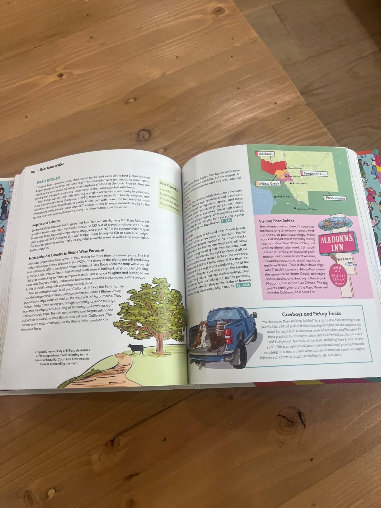 Rebel School Of Wine: A Modern Wine Guide for Beginners to Learn Regions, Grapes, Pairings, and How to Choose Bottles customer photo 1