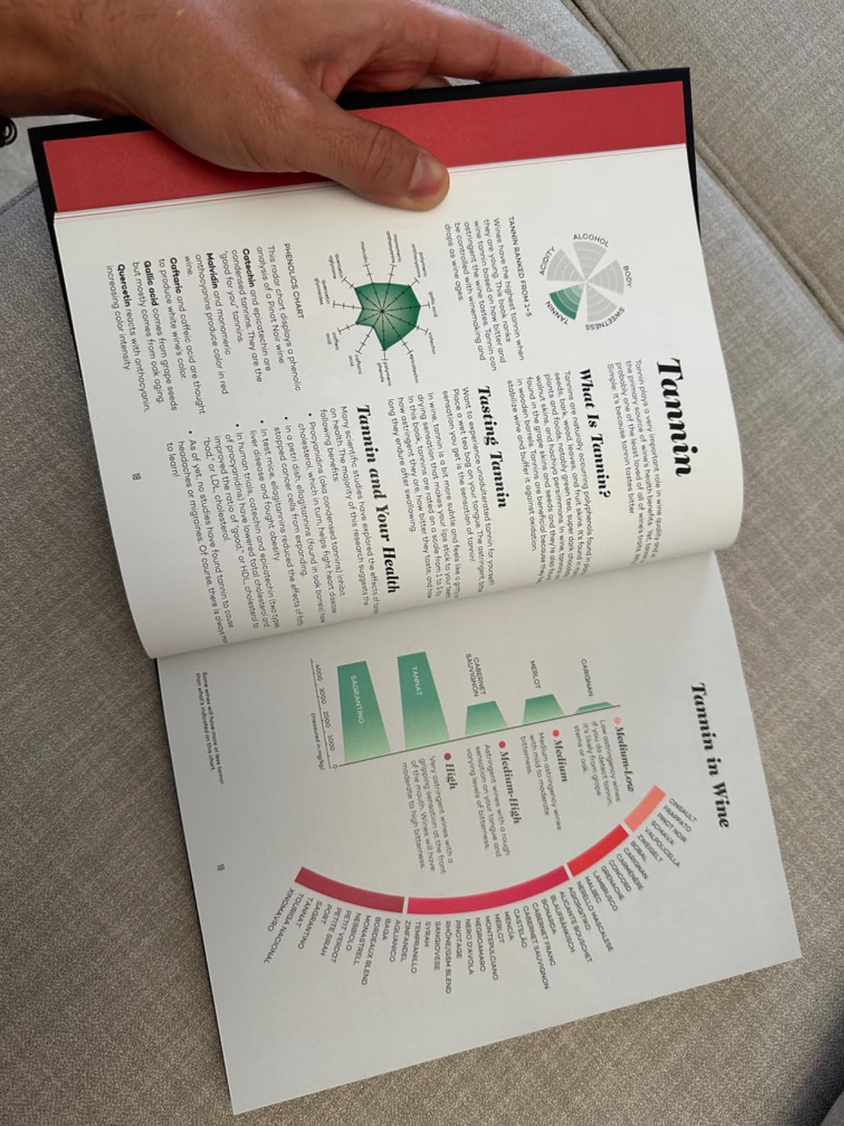 Wine Folly: Magnum Edition: The Master Guide customer photo 2