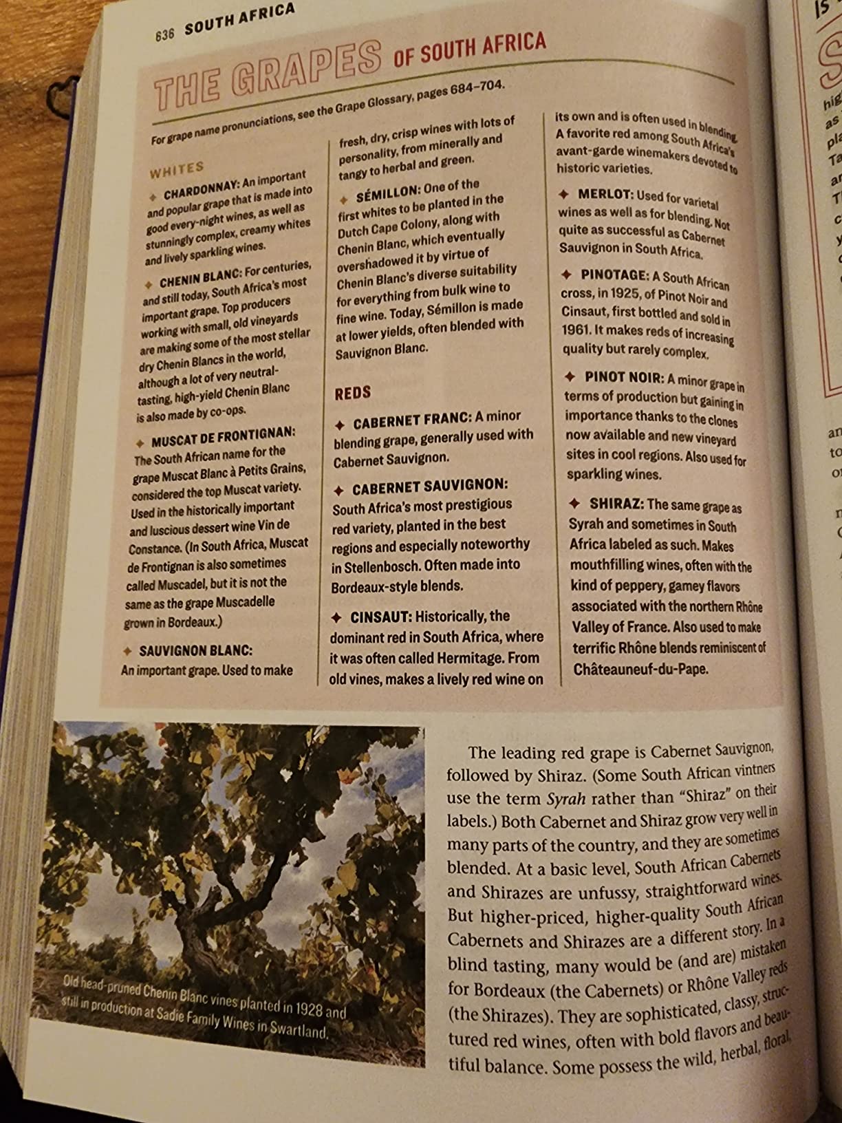 The Wine Bible, 3rd Edition (The Workman Bible Series) customer photo 1