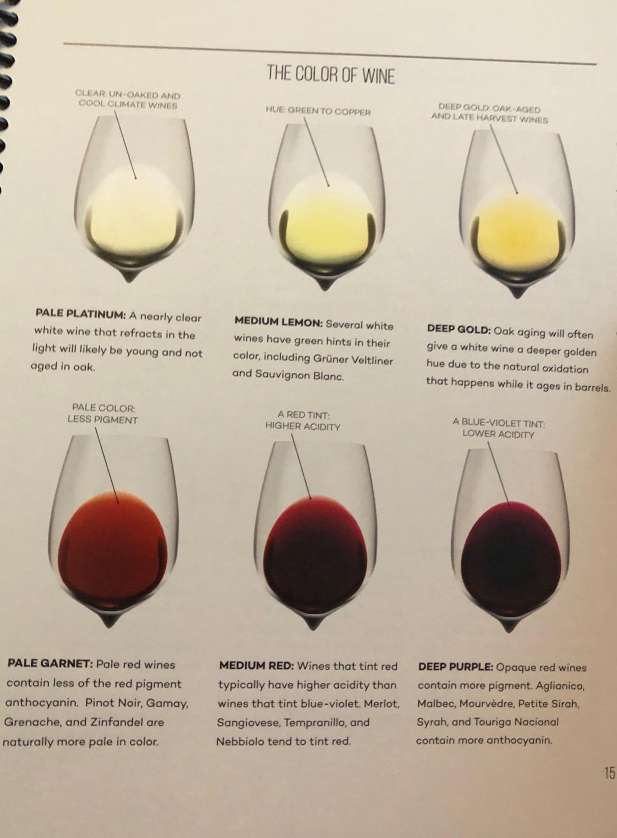 Wine Folly: The Essential Guide to Wine customer photo 2