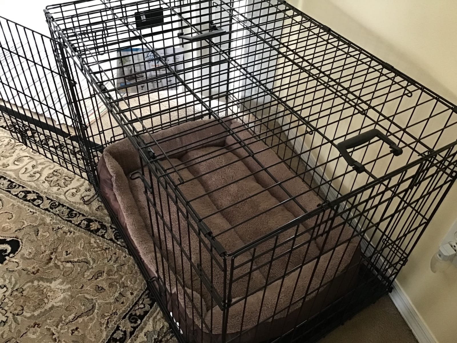 MidWest Homes for Pets 48-Inch LifeStages Crate for Extra-Large Breeds, 90-110 lbs, Double Door Folding Dog Crate with Divider Panel, Leak-Proof Tray & Secure Latch, Heavy-Duty & Easy to Assemble customer photo 1
