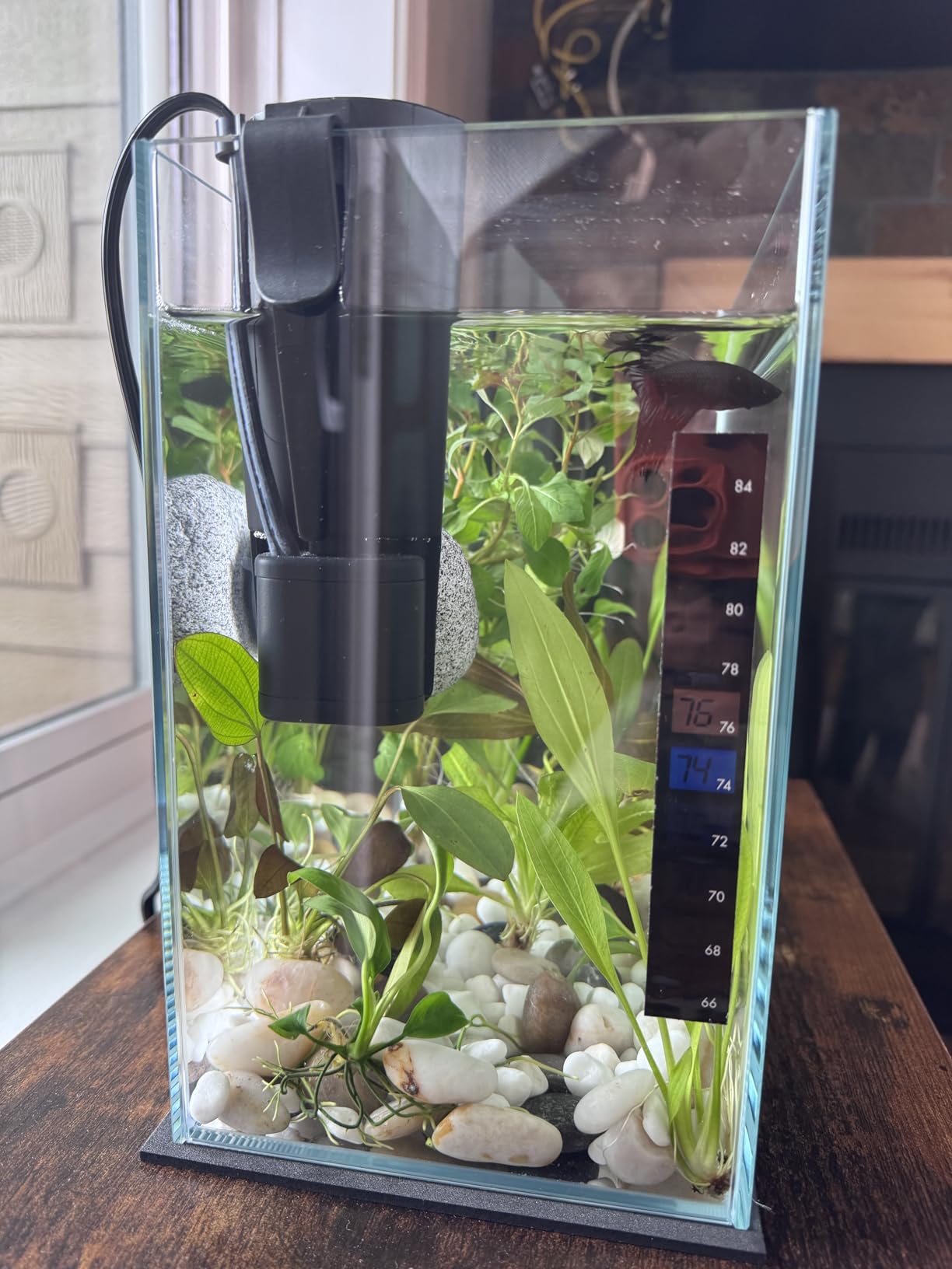 Tetra Whisper 85 GPH Internal Power Filter For Aquariums | For Fish Tanks Up To 10 Gallons, Whisper Quiet, Space-Saving Internal Filter Clips on Tank customer photo 2