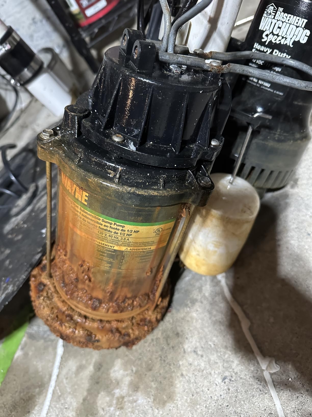 WAYNE CDU800 1/2 HP Submersible Sump Pump - Cast Iron & Stainless Steel, Vertical Float Switch, 5,100 GPH, 3-Year Warranty customer photo 1