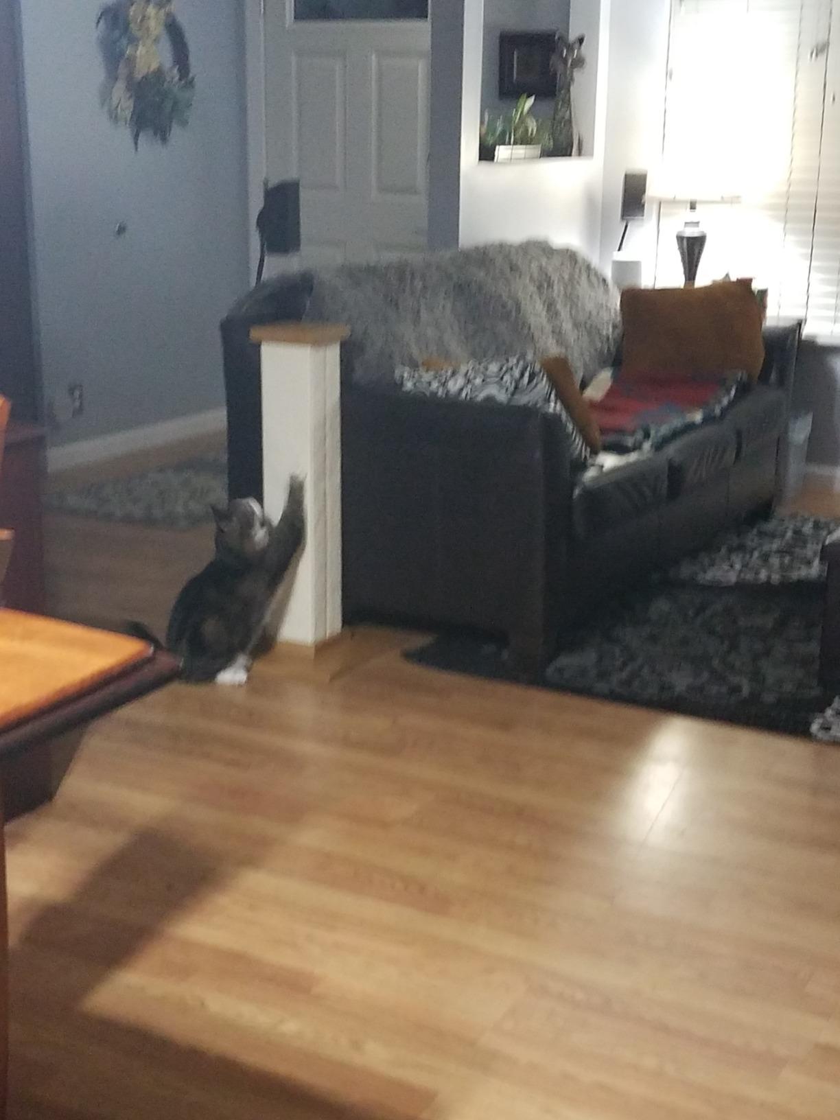 SmartCat Pioneer Pet Ultimate Scratching Post (Beige) customer photo 2