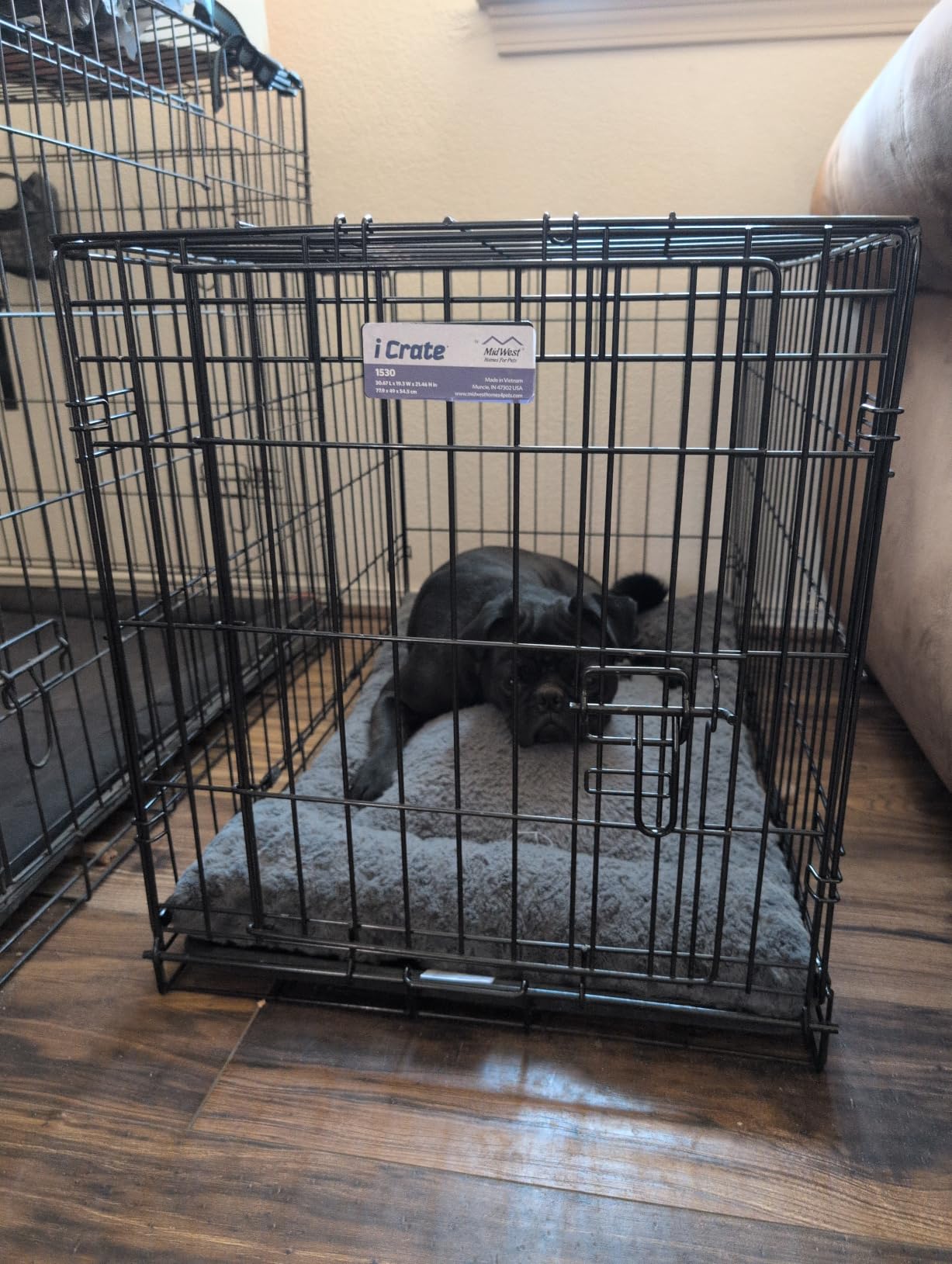 MidWest Homes for Pets 42-Inch iCrate for Large Breeds, 71-90 lbs, Single Door Folding Dog Crate with Divider Panel, Leak-Proof Tray & Secure Latch, Portable, Durable & Easy to Assemble customer photo 1